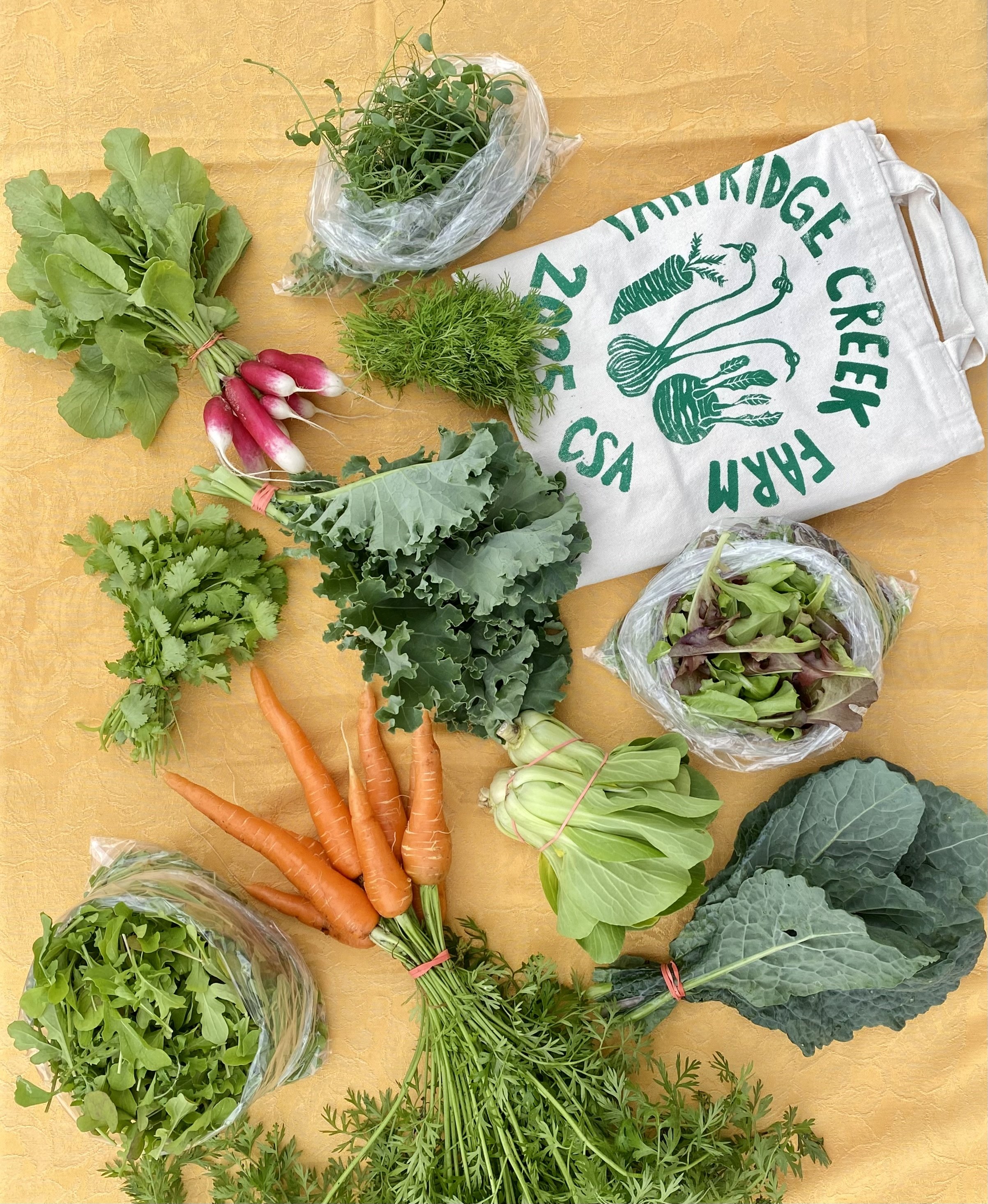 CSA Produce Subscription Box — Partridge Creek Farm
