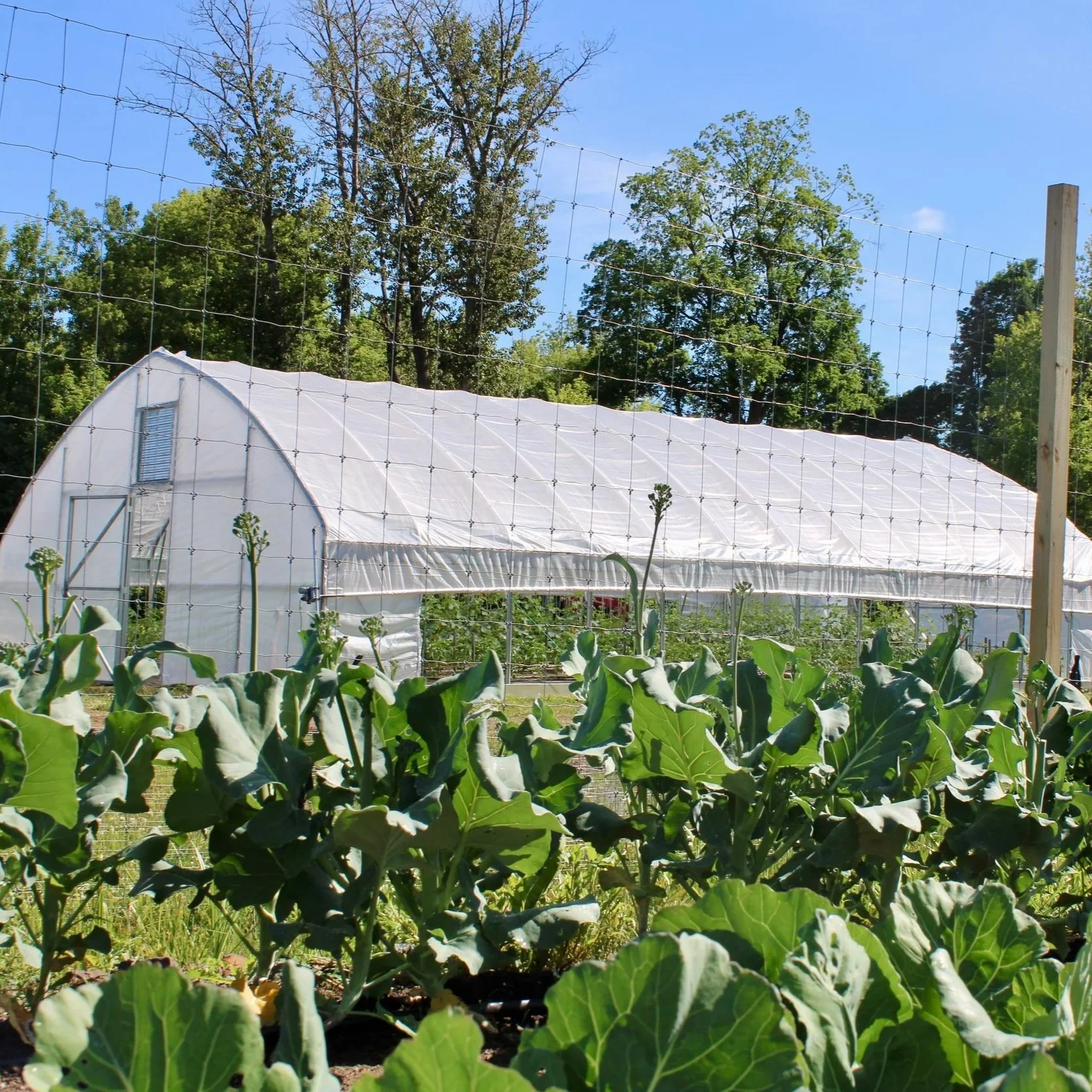 2026 Partridge Creek Community Farm