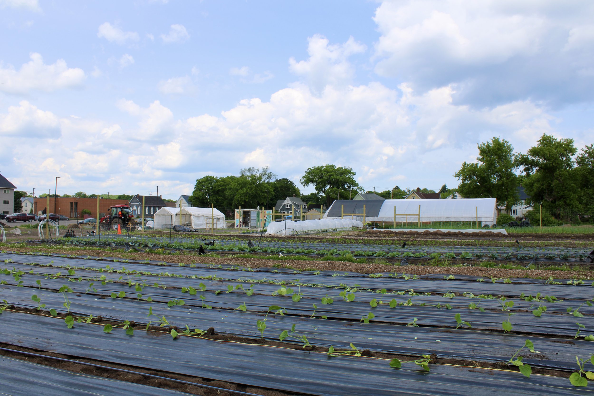 U.P. Group of Chefs Tour the Partridge Creek Community Farm