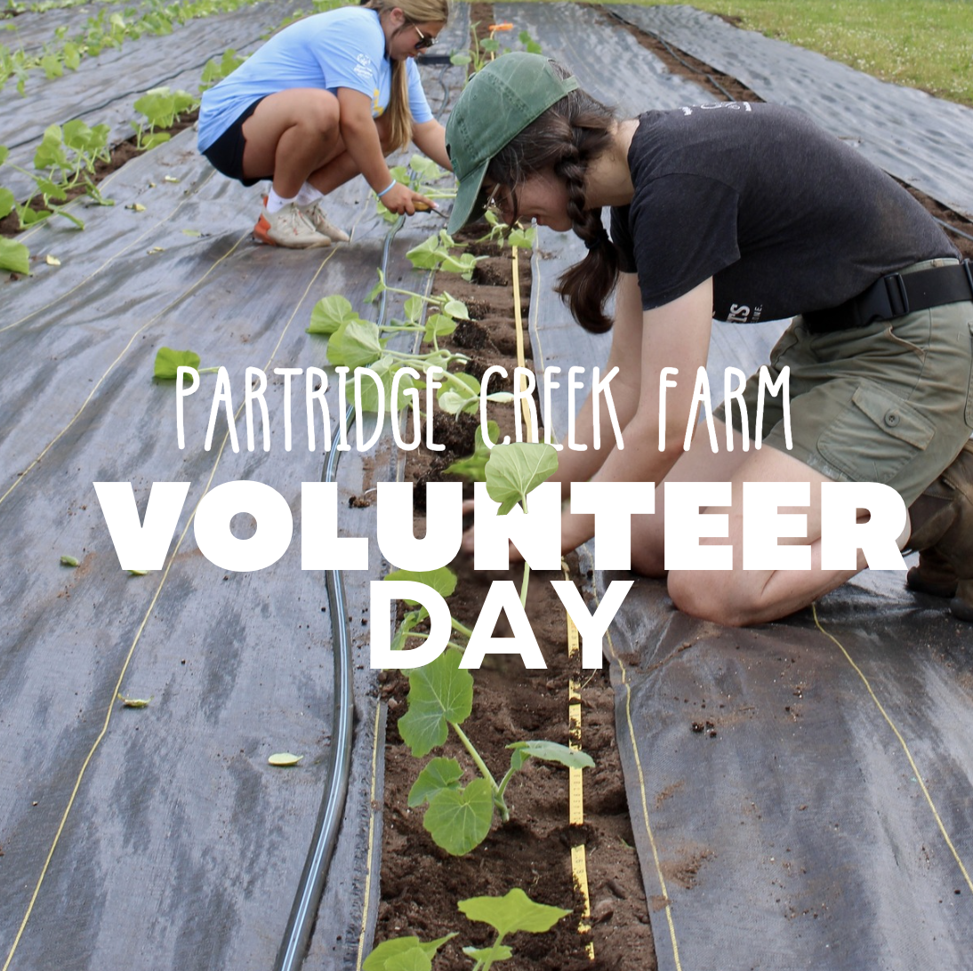 2025 Weekly Farm Volunteer Day
