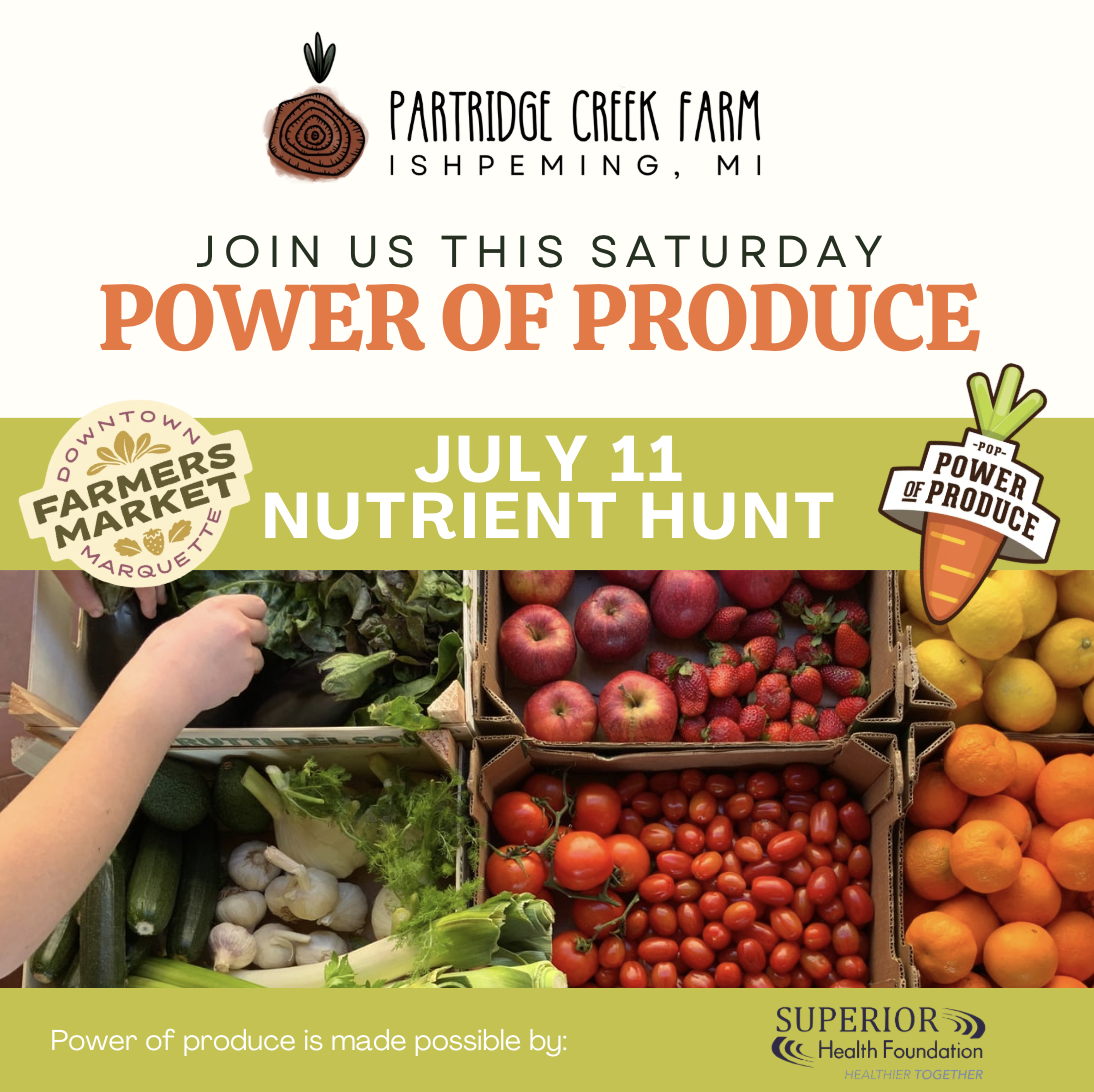 Power of Produce | Nutrient Scavenger Hunt
