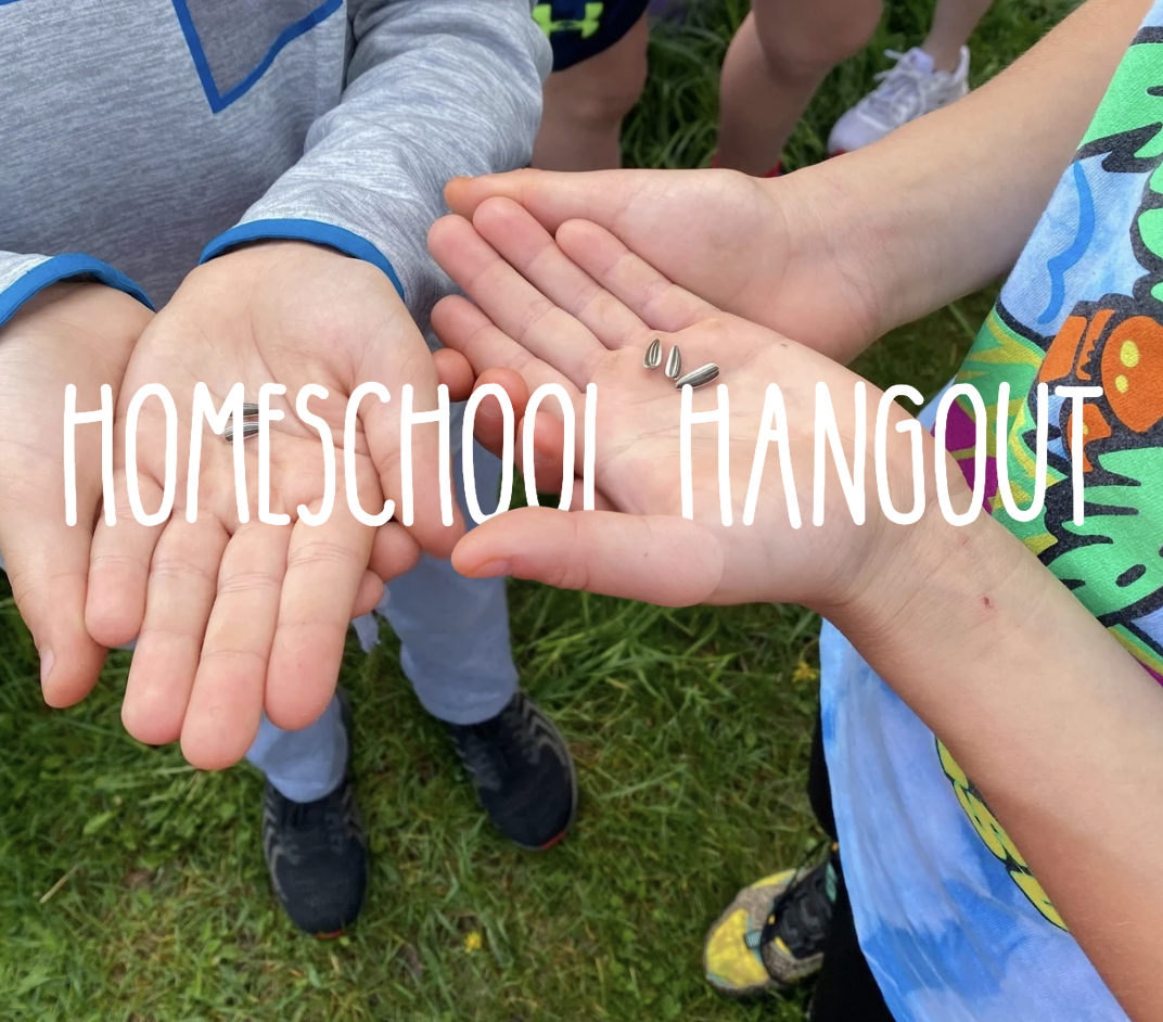 Homeschool Hangout