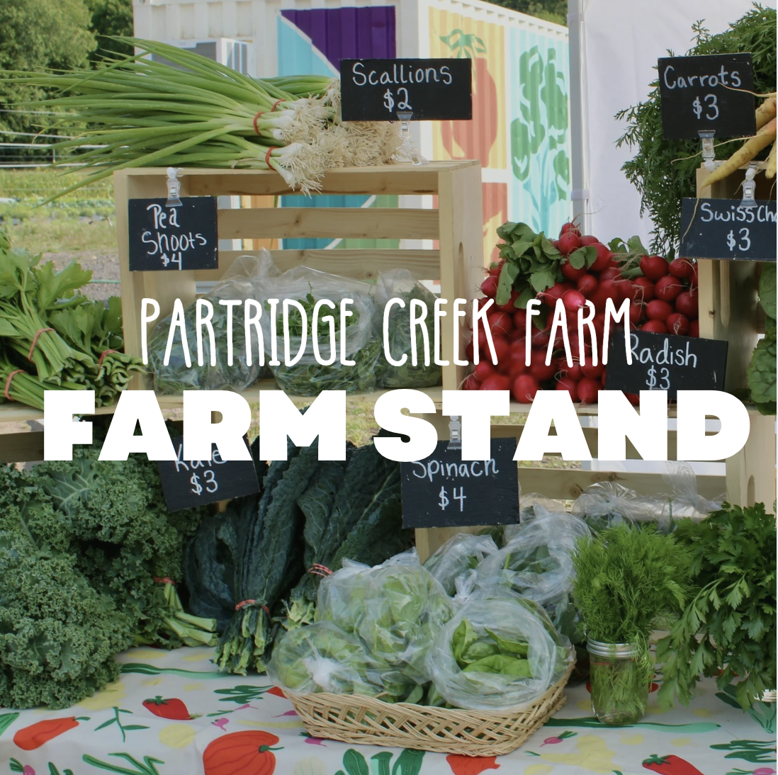 Farm Stand | Opening Day