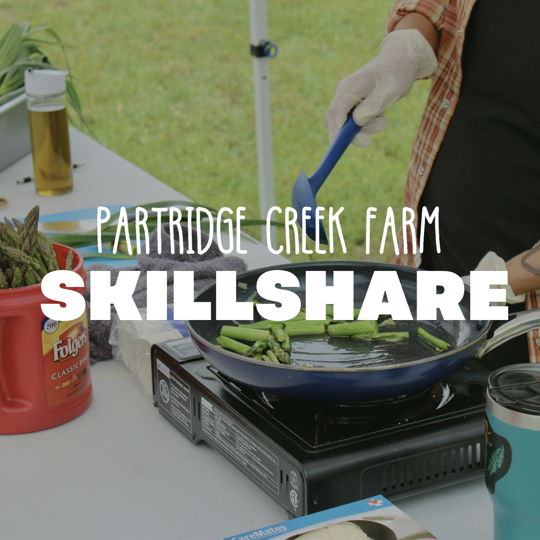 Skillshare