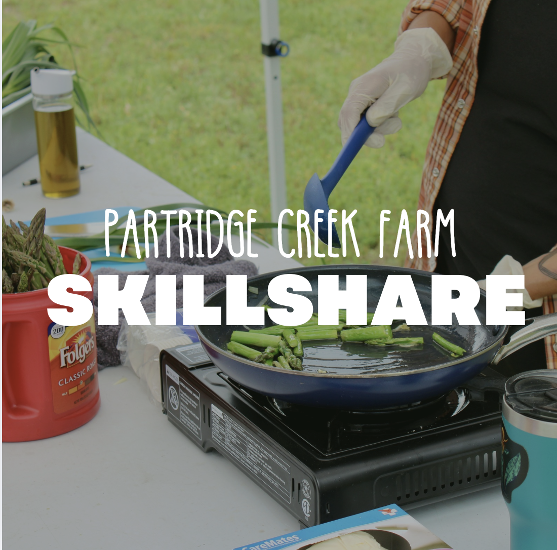 Skillshare