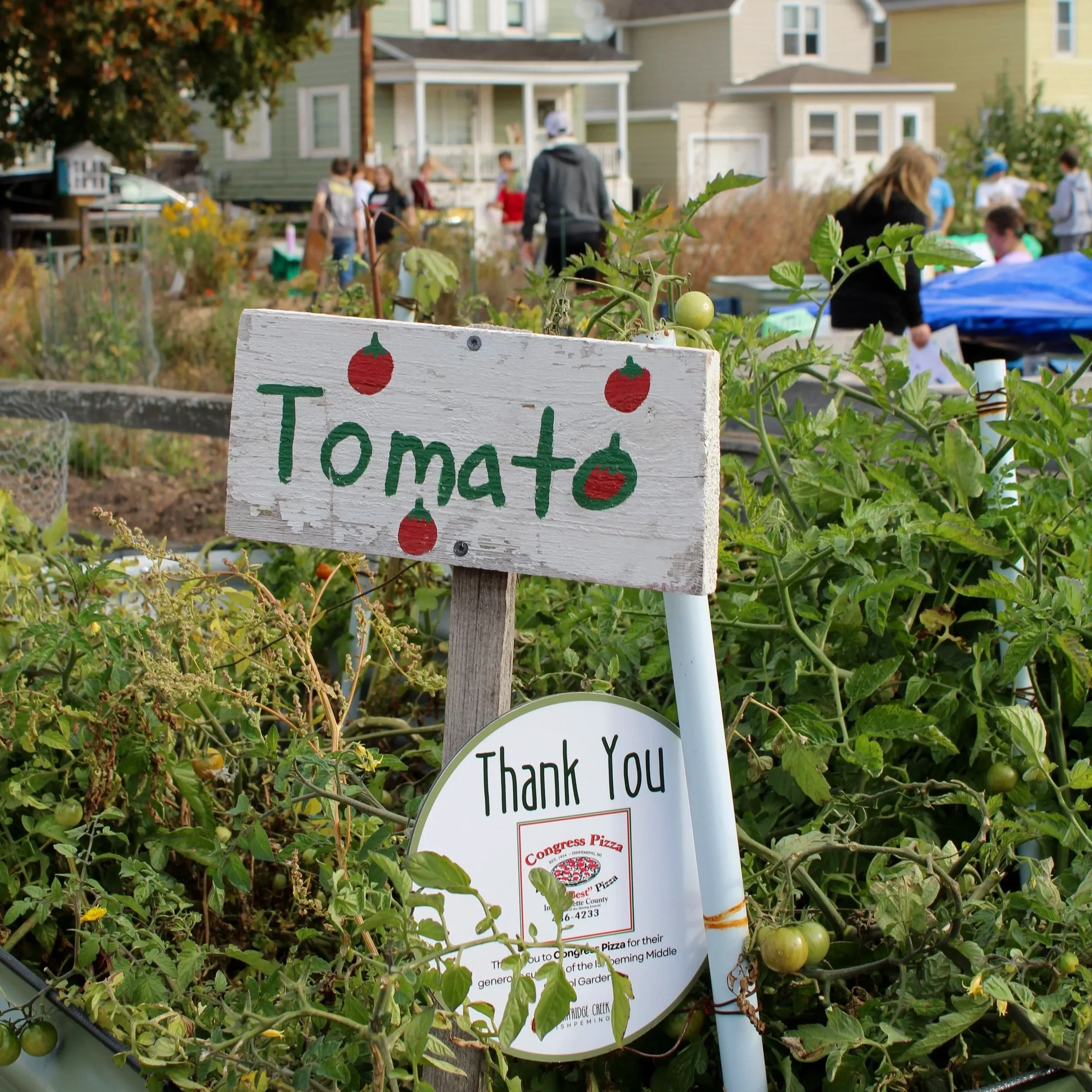 2025 Giving Tuesday Campaign Update 