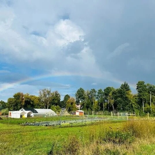 The Partridge Creek Community Farm during the 2025 growing season