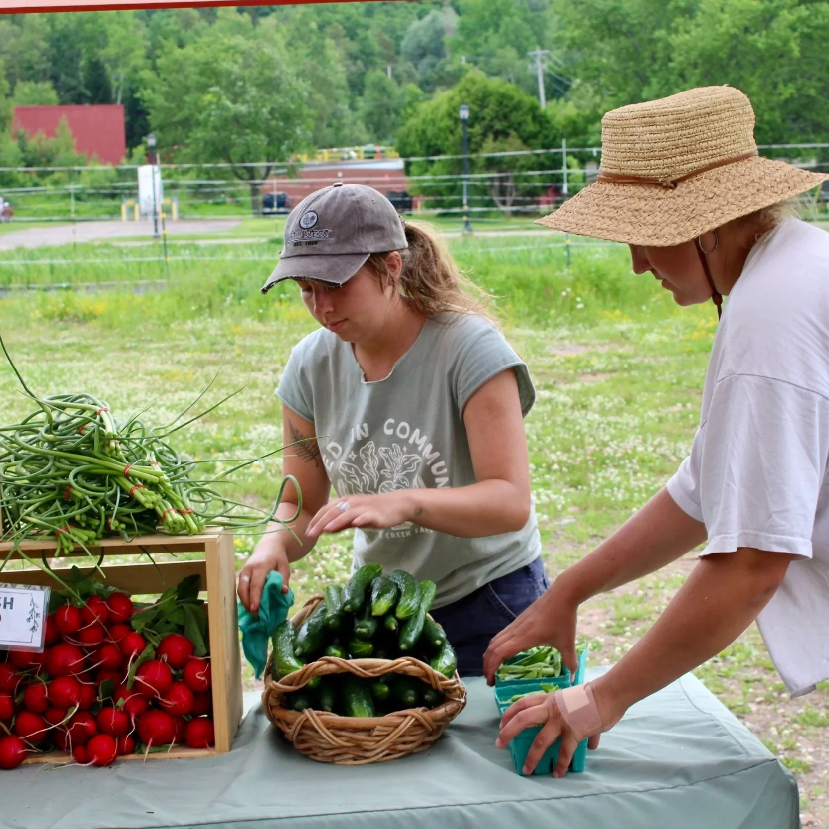 2026 Partridge Creek Farm Stand at the Partridge Creek Community Farm