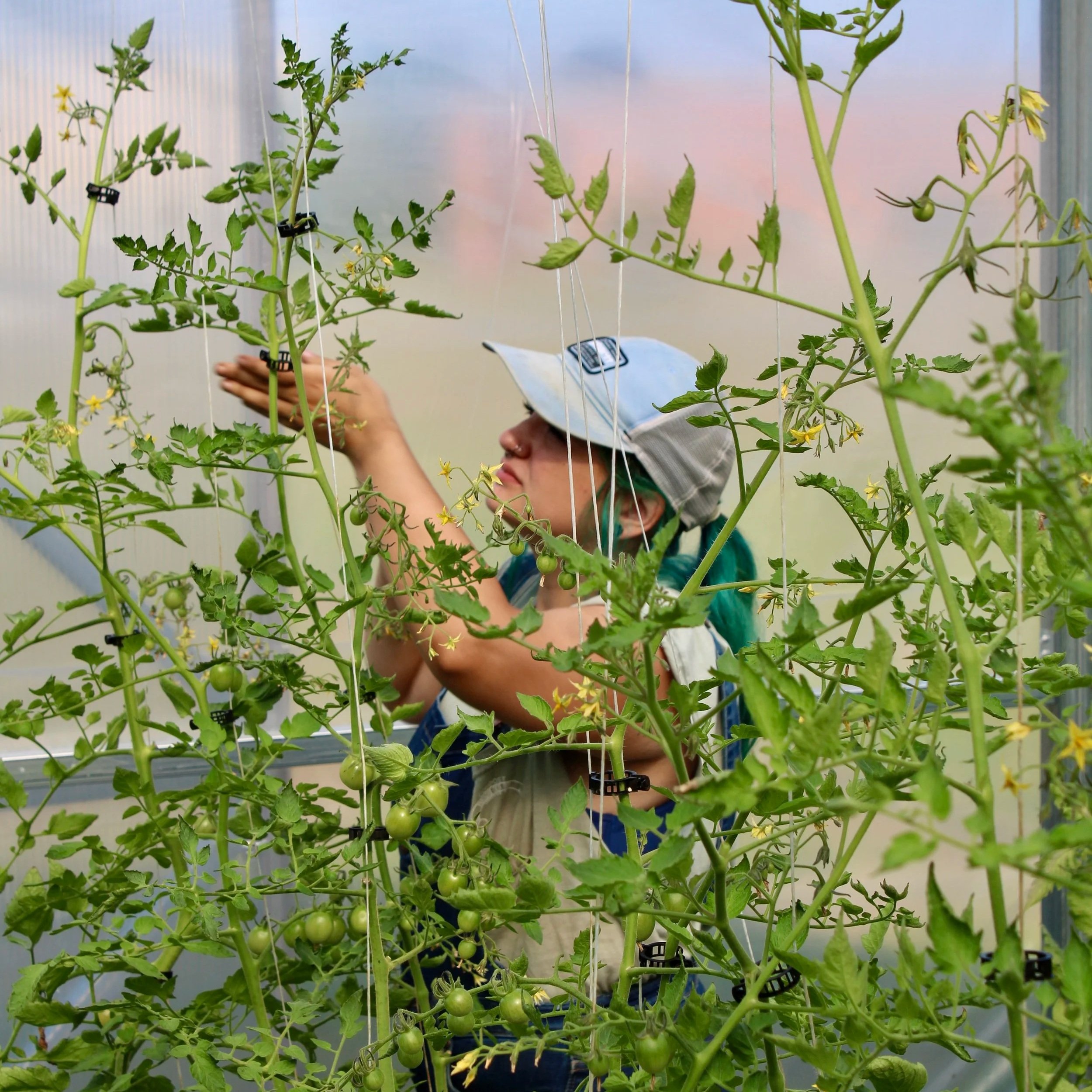 2026 Partridge Creek Community Farm Ishpeming High School CTE Intern