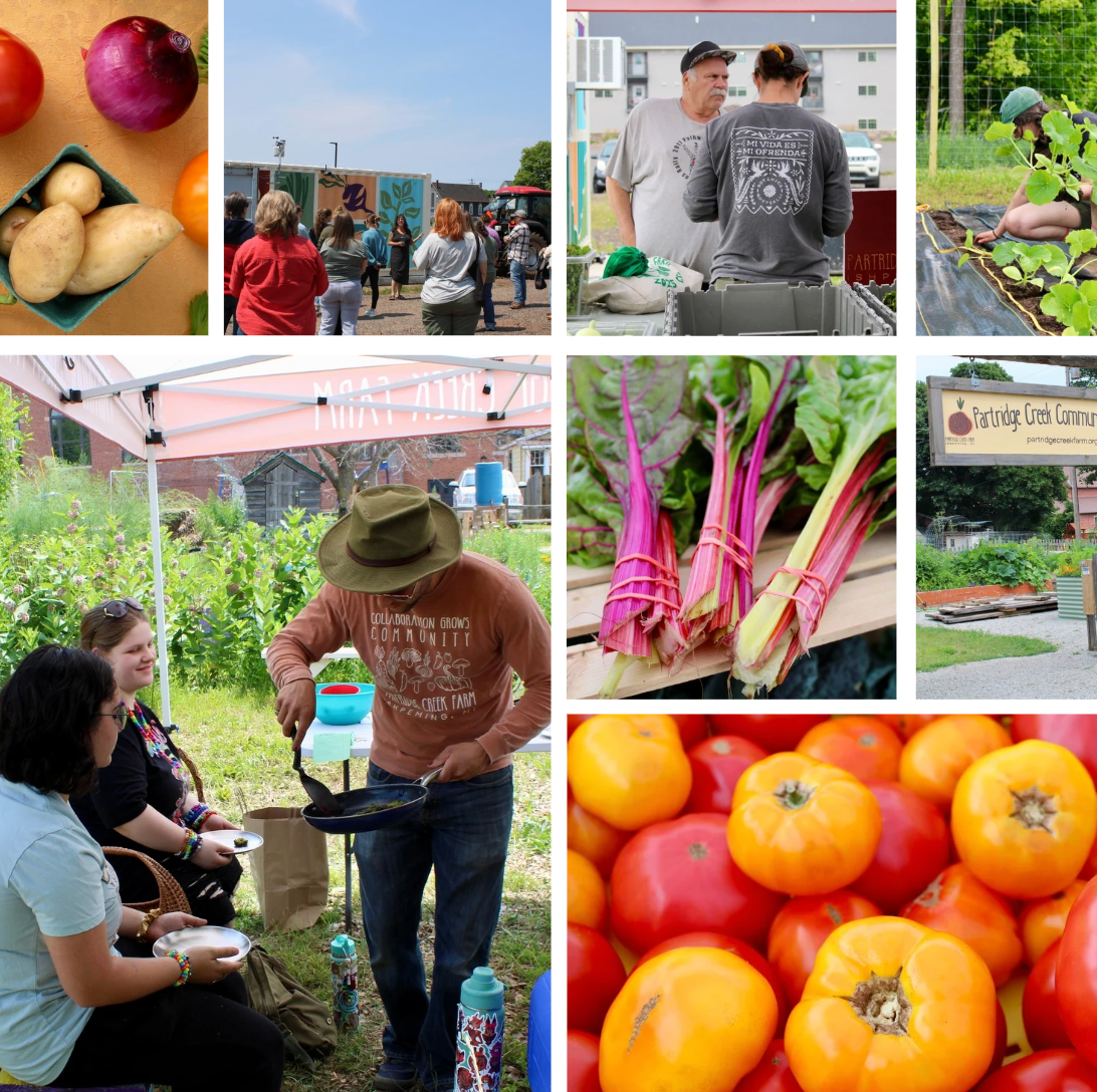 Partridge Creek Farm’s 2025 Annual Report Is Here