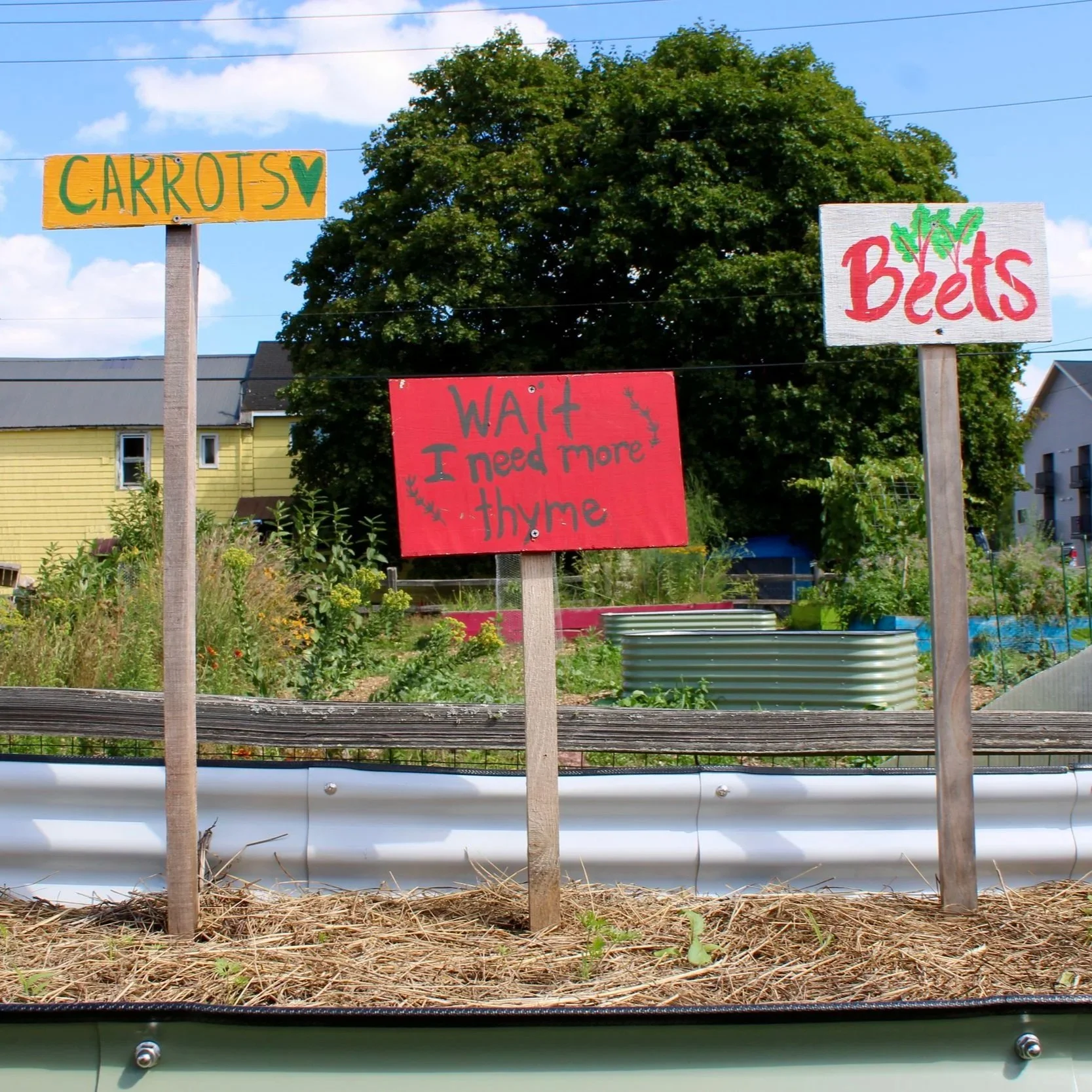 2026 Free Community Grazing Beds at the Partridge Creek Ishpeming Middle School Garden