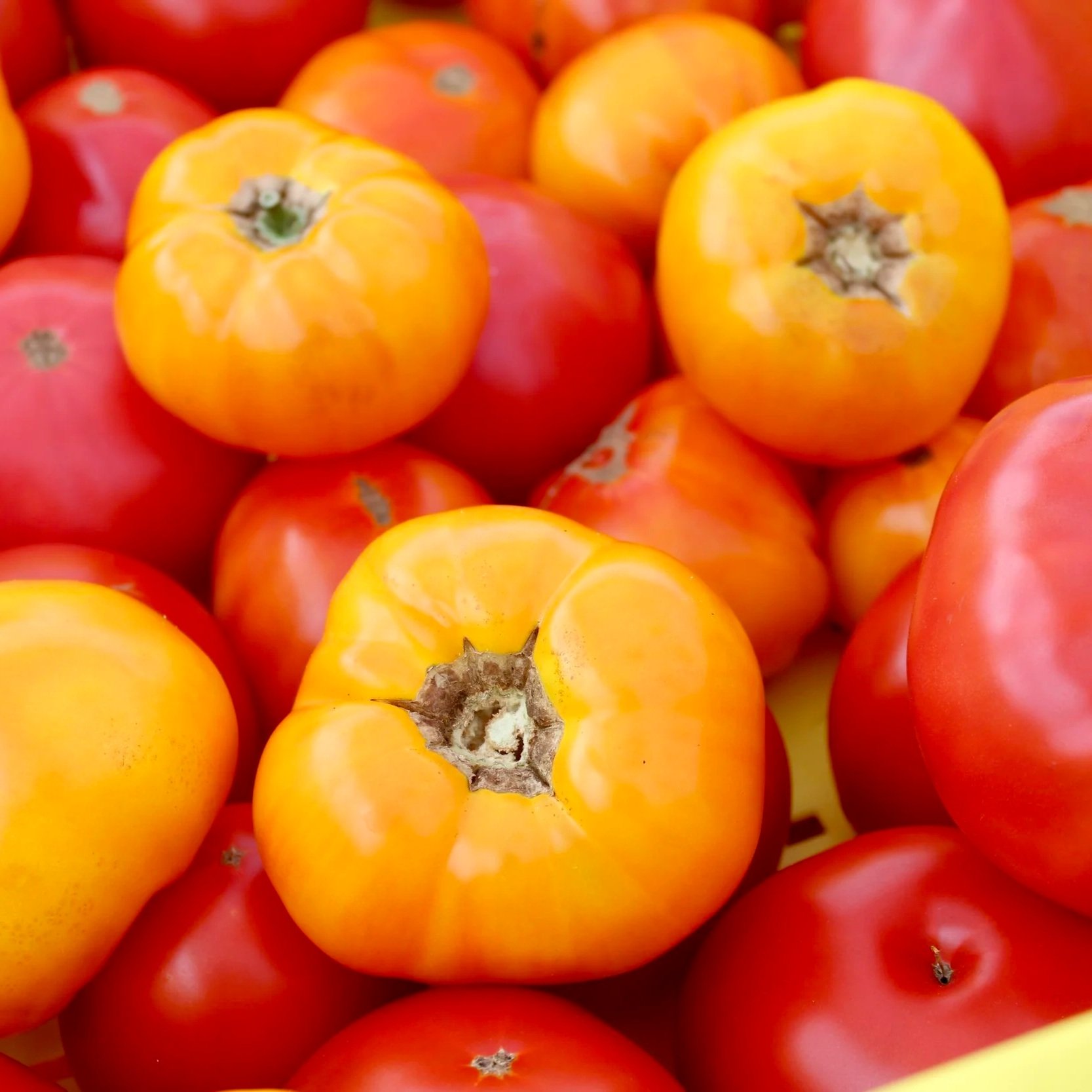 Produce at Partridge Creek Farm