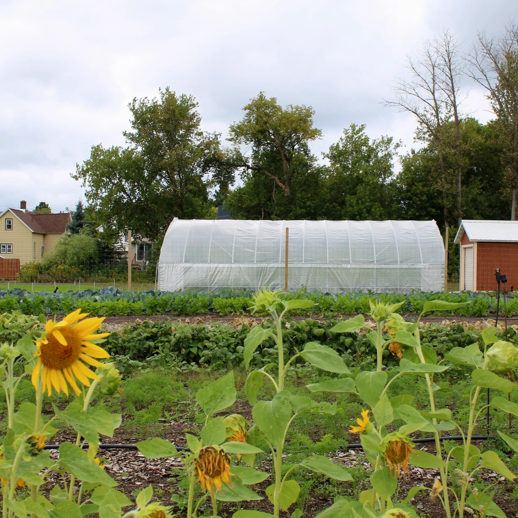 Learn More About the Partridge Creek Community Farm 