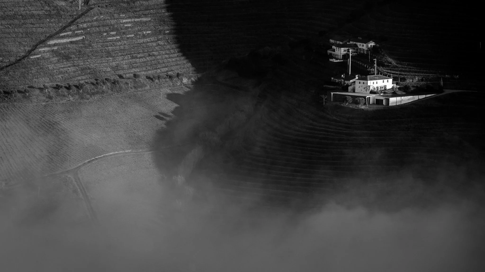 Above the Mist