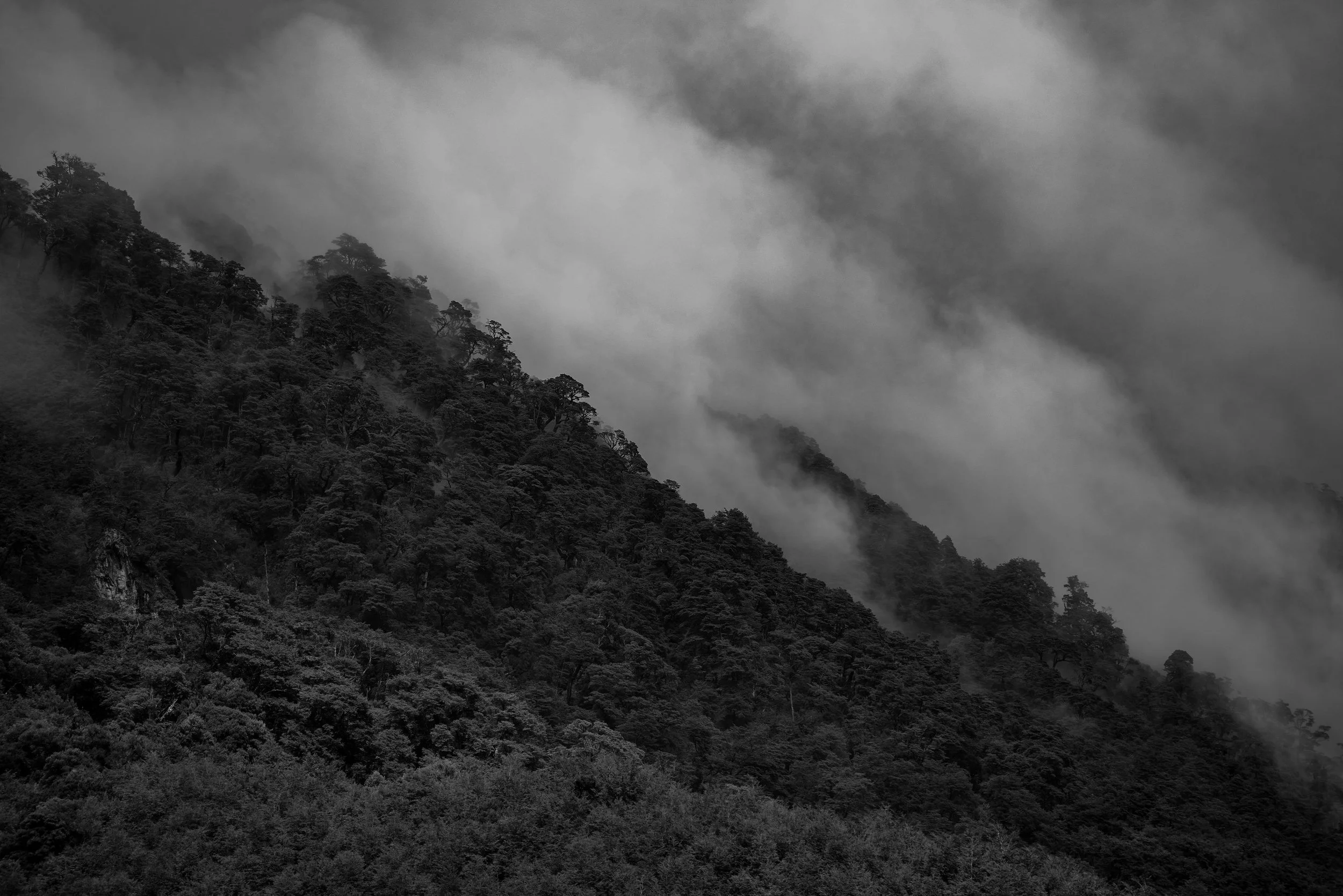 Onde a Névoa Mora, fotografia fine art de Juan Frota