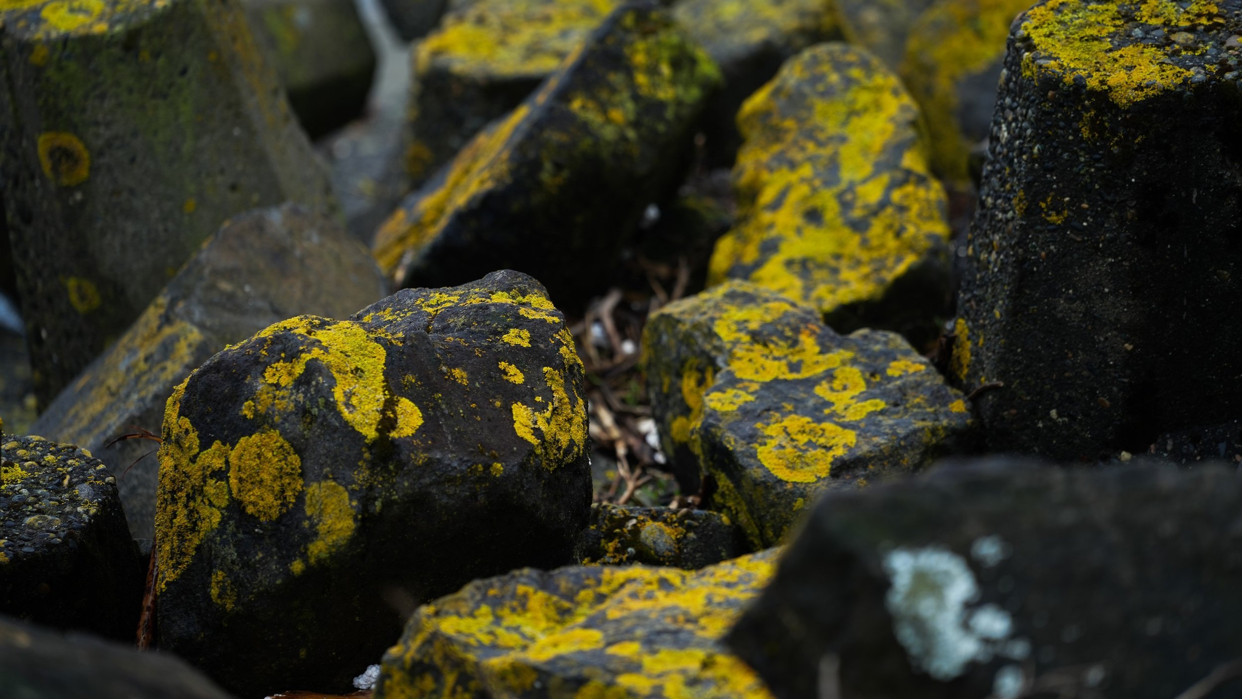 Kintsugi, fotografia fine art de Juan Frota