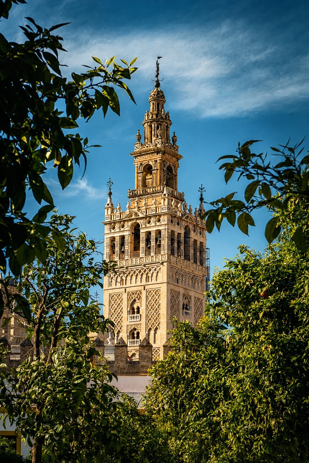 A Torre Veste o Jardim