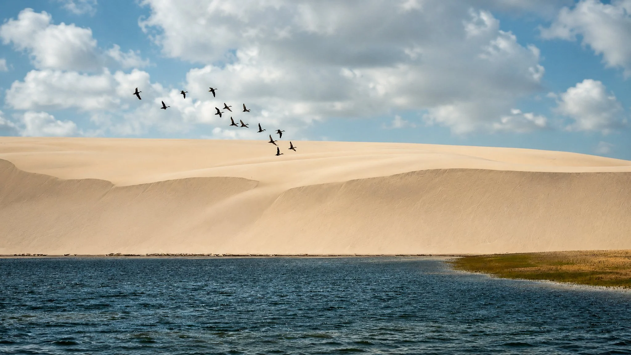 Silence Takes Flight