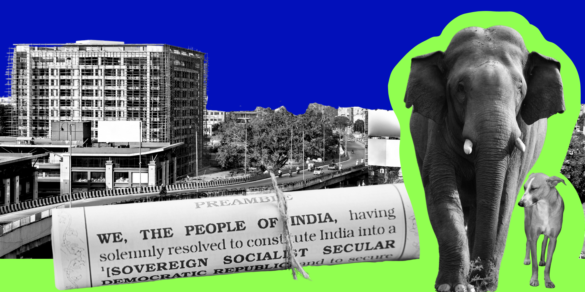 Collage of an elephant, a dog, a scroll with the preamble to the constitution, and a an urban indian building scene on a blue background