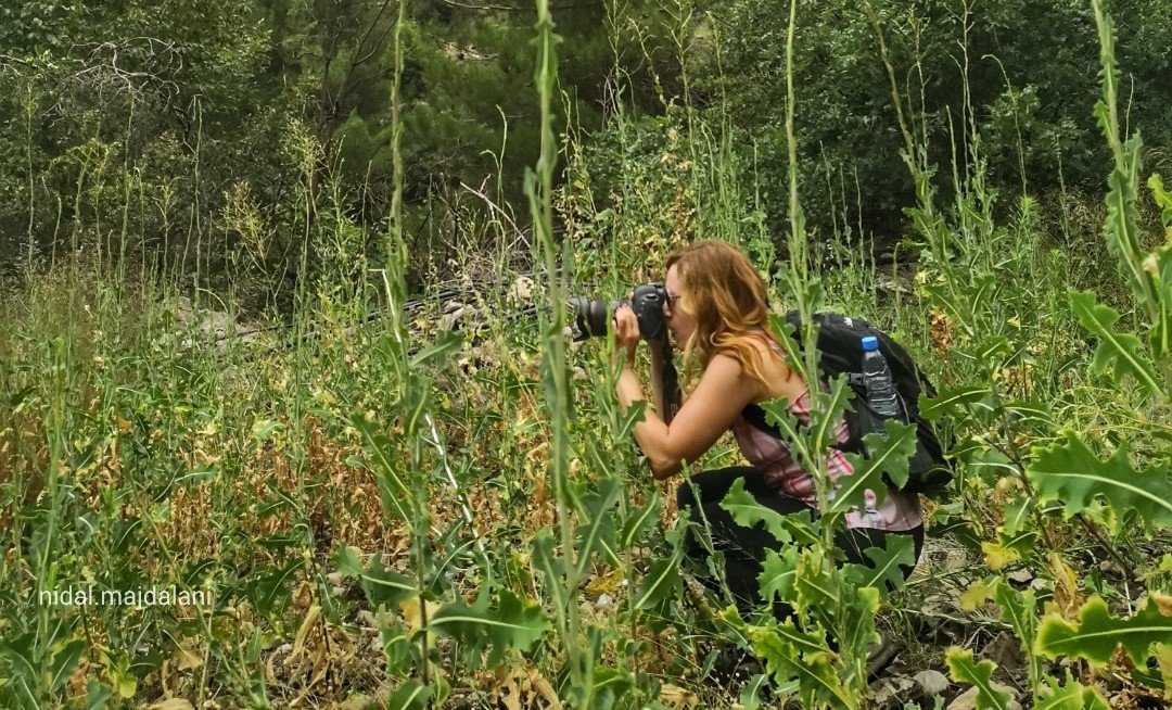 Unveiling Lebanon’s Lost Trails: A Hike Through Paradise and Hell Valleys