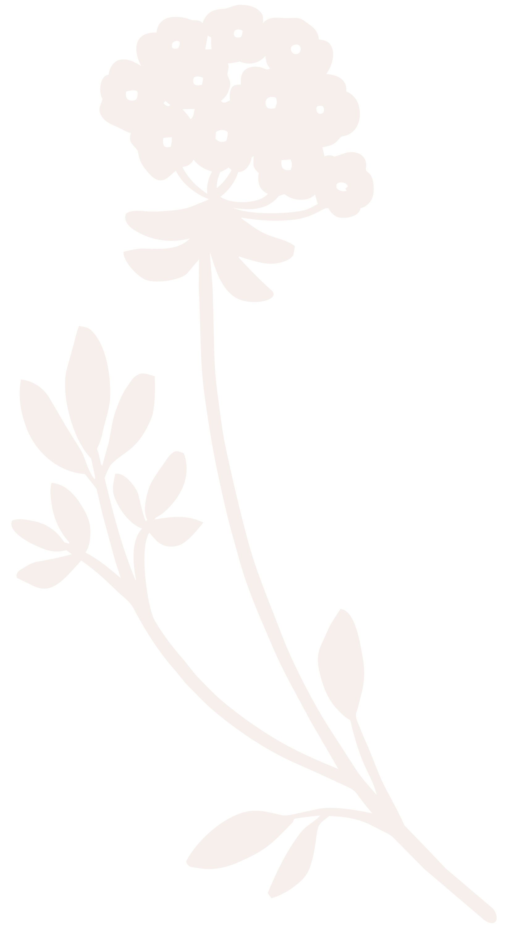 Cowslip parsley