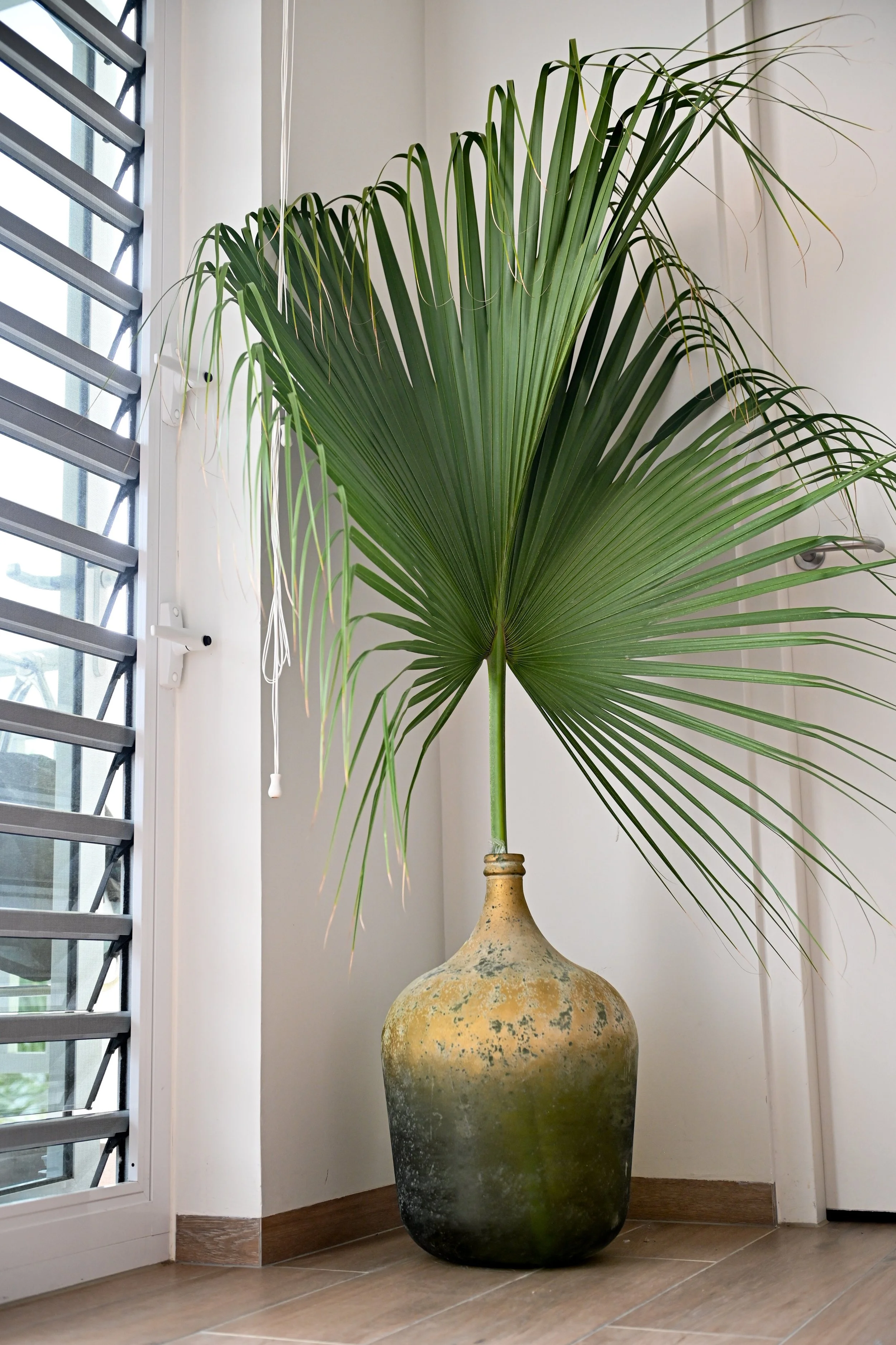 Casa Lobi Curaçao def mrt 2024 kl jpg-32.jpg