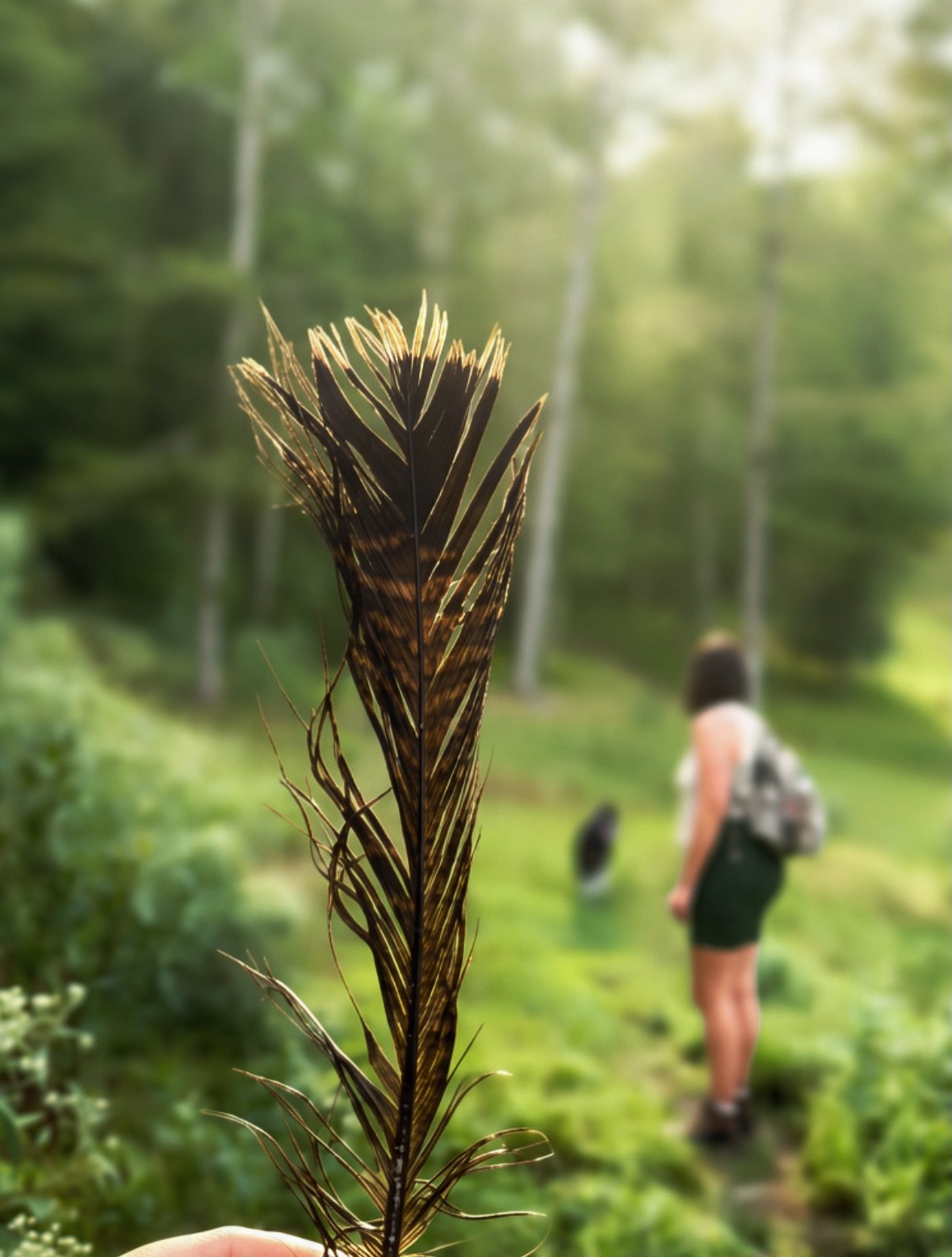 Some weekends are just good for the soul. 🌿

A little time in the woods with my sister Meghan, Daisy Mae, and the kind of simple days I wish I could bottle up.

Hiking. Sleeping under the trees. Waking up to a thunderstorm. Making friends with chick