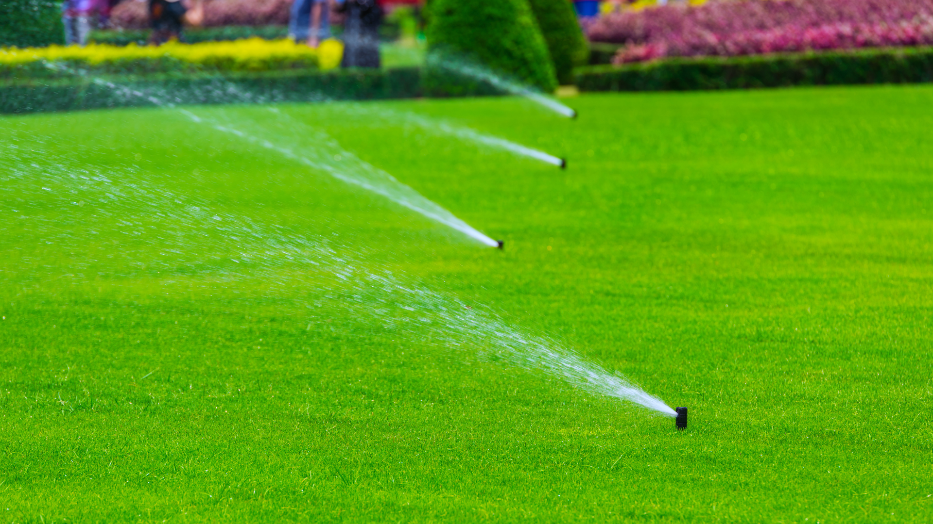 Irrigation System Contractor for Installation, Maintenance and Repairs