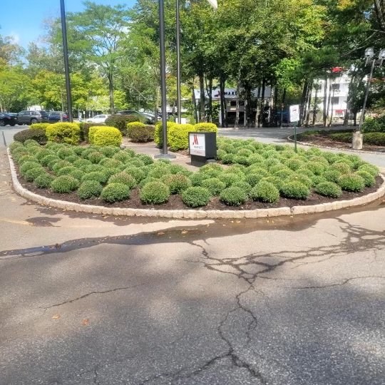 Best Commercial Landscaping Companies Near Me