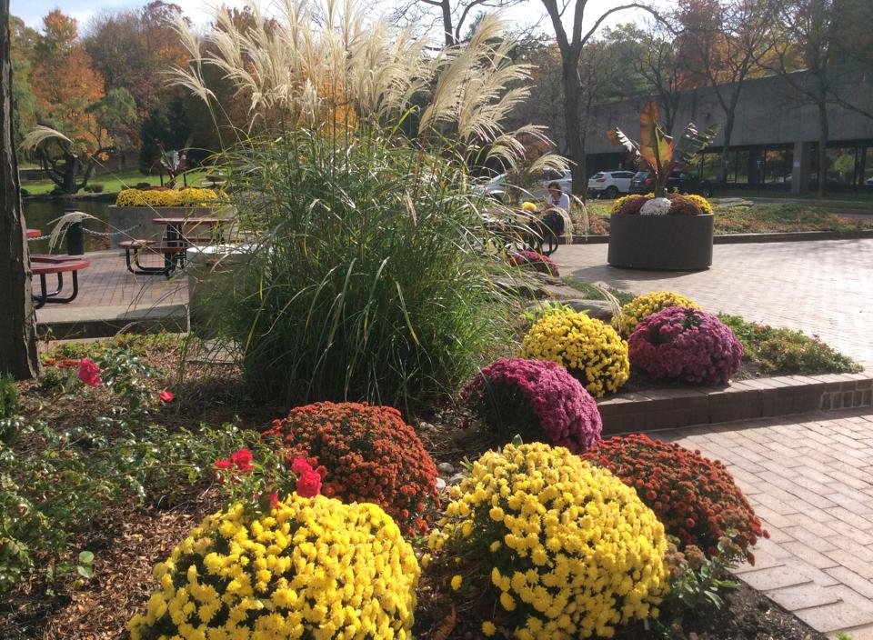 Commercial Property Maintenance and Landscaping Services in New Jersey