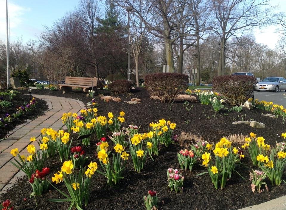 Grasskeepers Landscaping Provides Commercial Landscaping Service in Bergen County, NJ