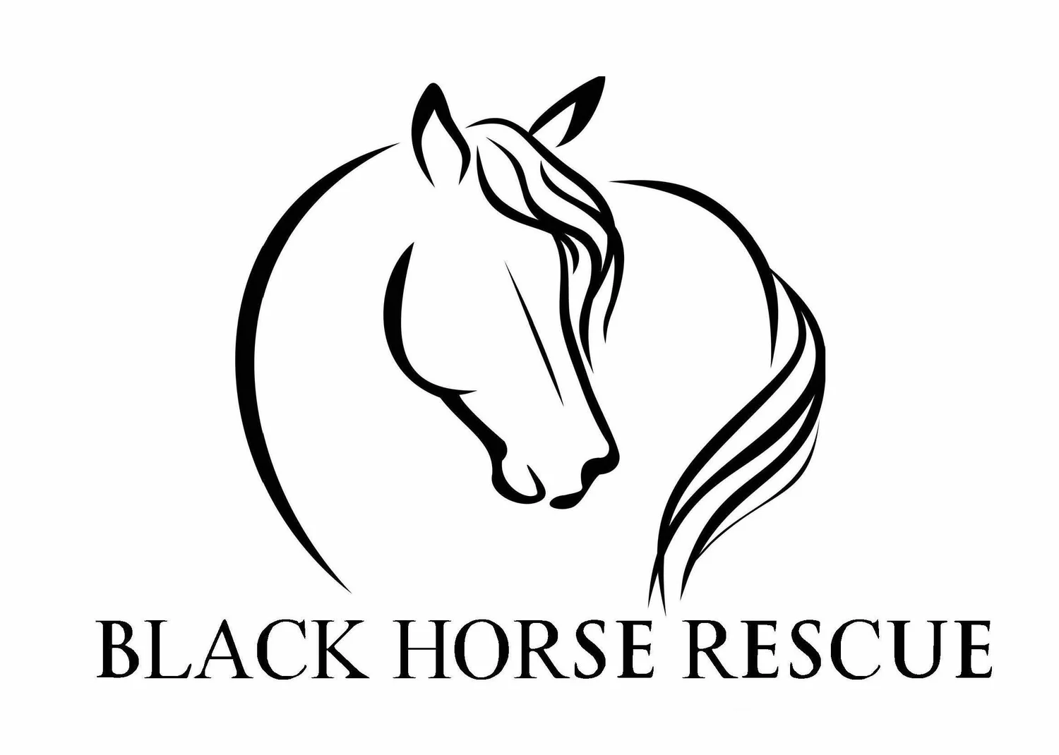 Black Horse Rescue