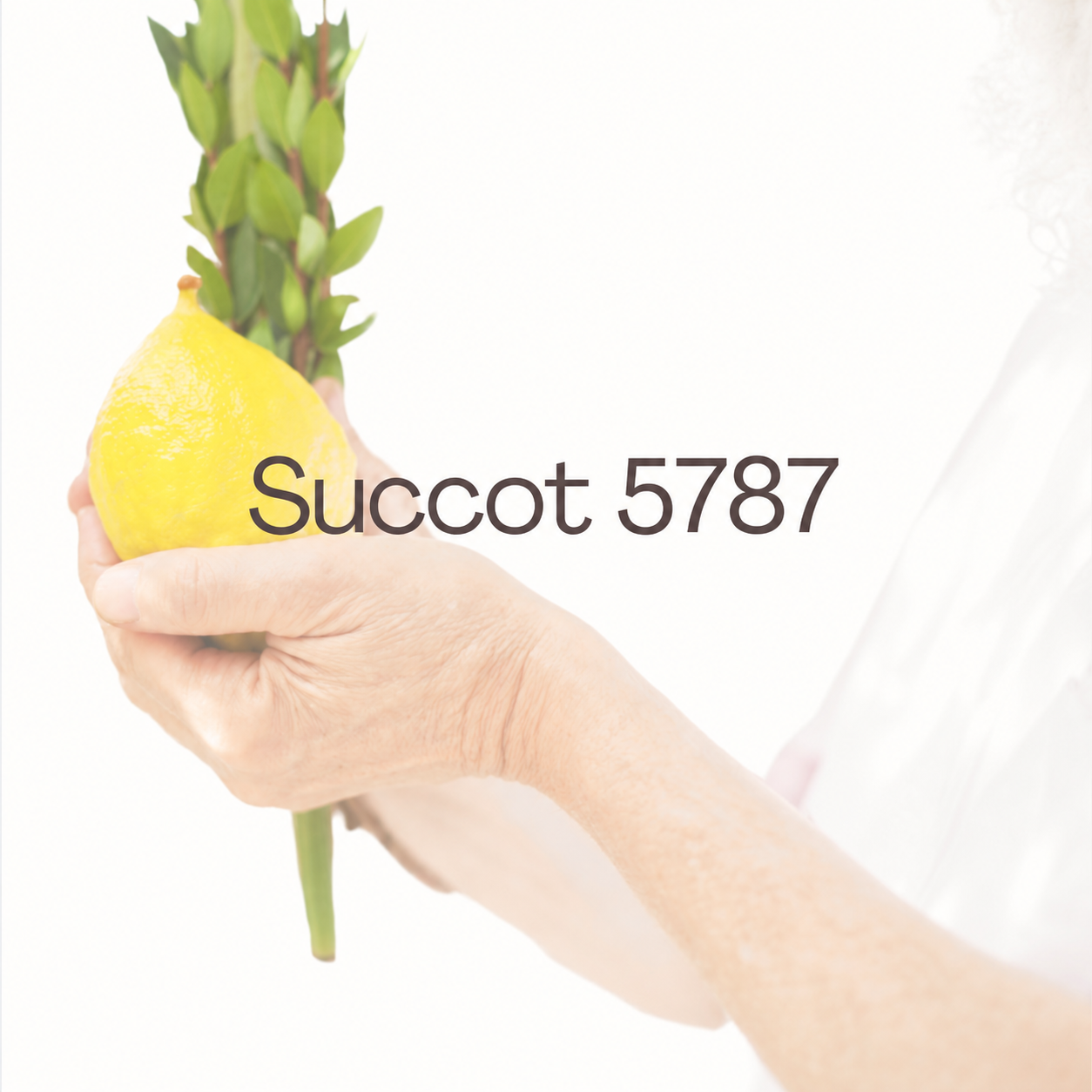 6cf44e2d-c4c0-4af2-97a6-9893a9dc376a.png
