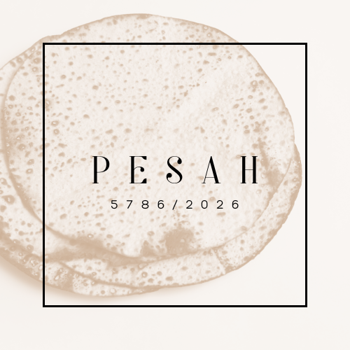 Pesah Dinners