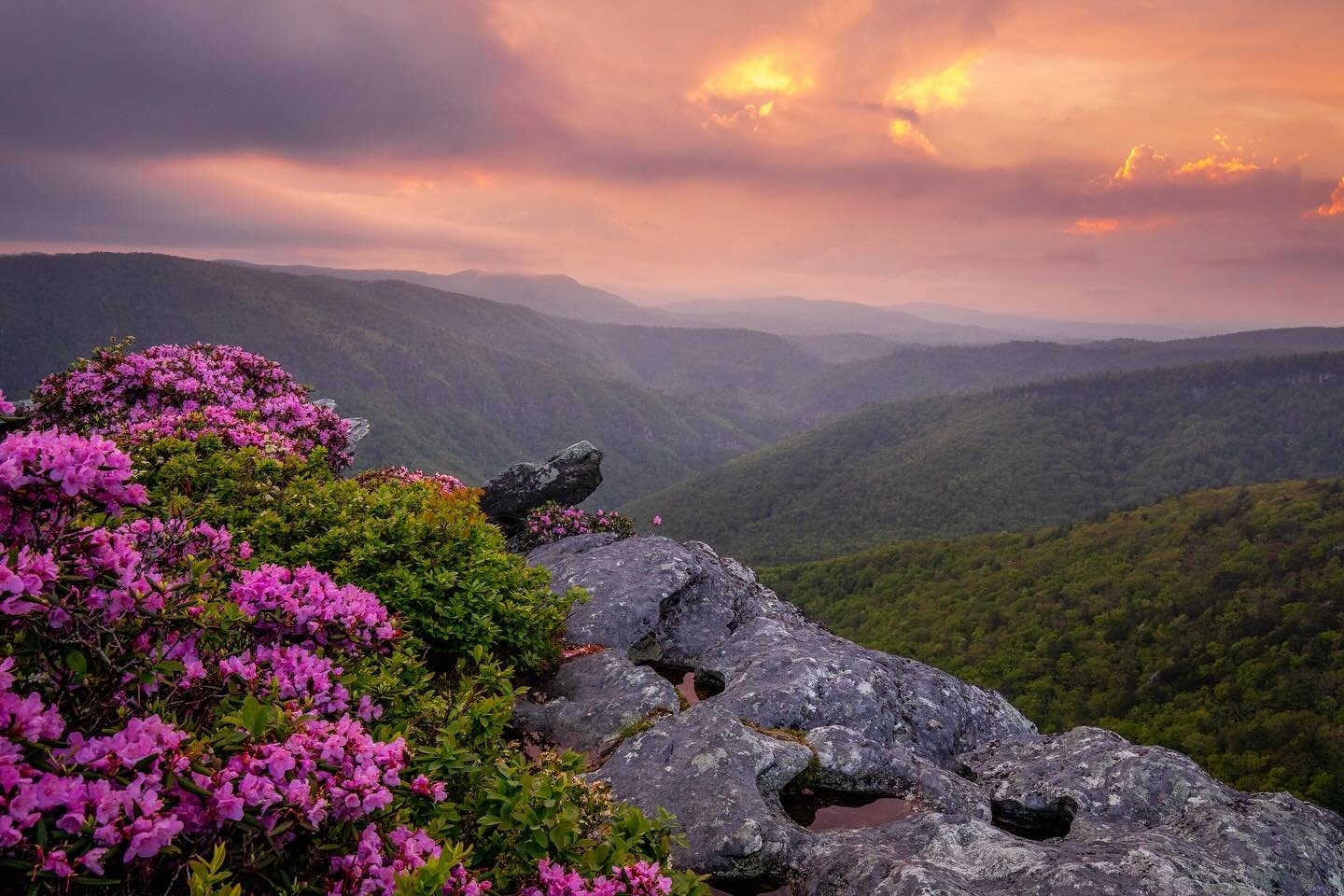 &ldquo;When spring came, even the false spring, there were no problems except where to be happiest&rdquo; -Ernest Hemingway

#sunsetviews #linvillegorge #linvillegorgewilderness #blueridgemountains #northcarolina #visitnc #rhododendrons #naturephotog
