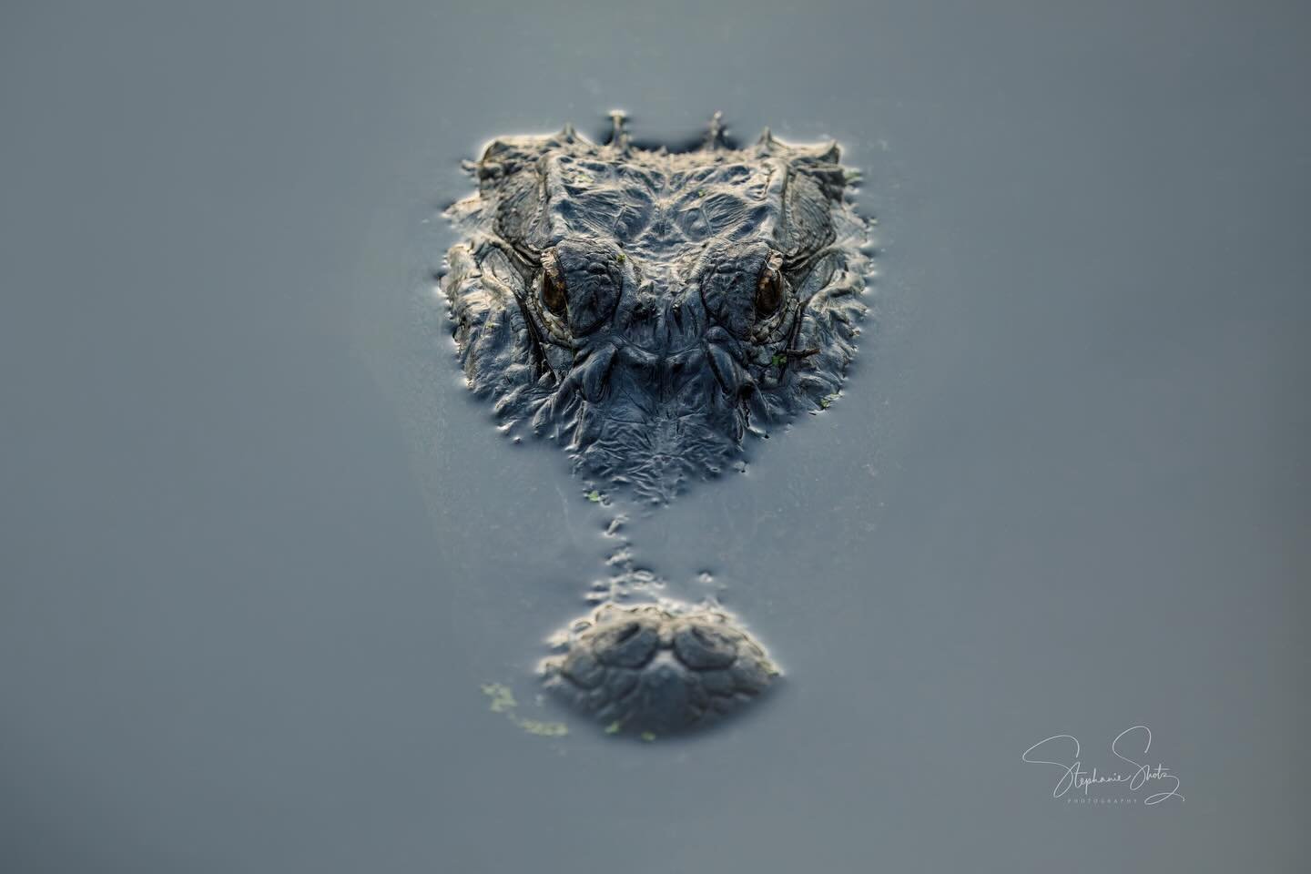 All art is at once surface and symbol. Those who go beneath the surface do so at their peril.

-Oscar Wilde