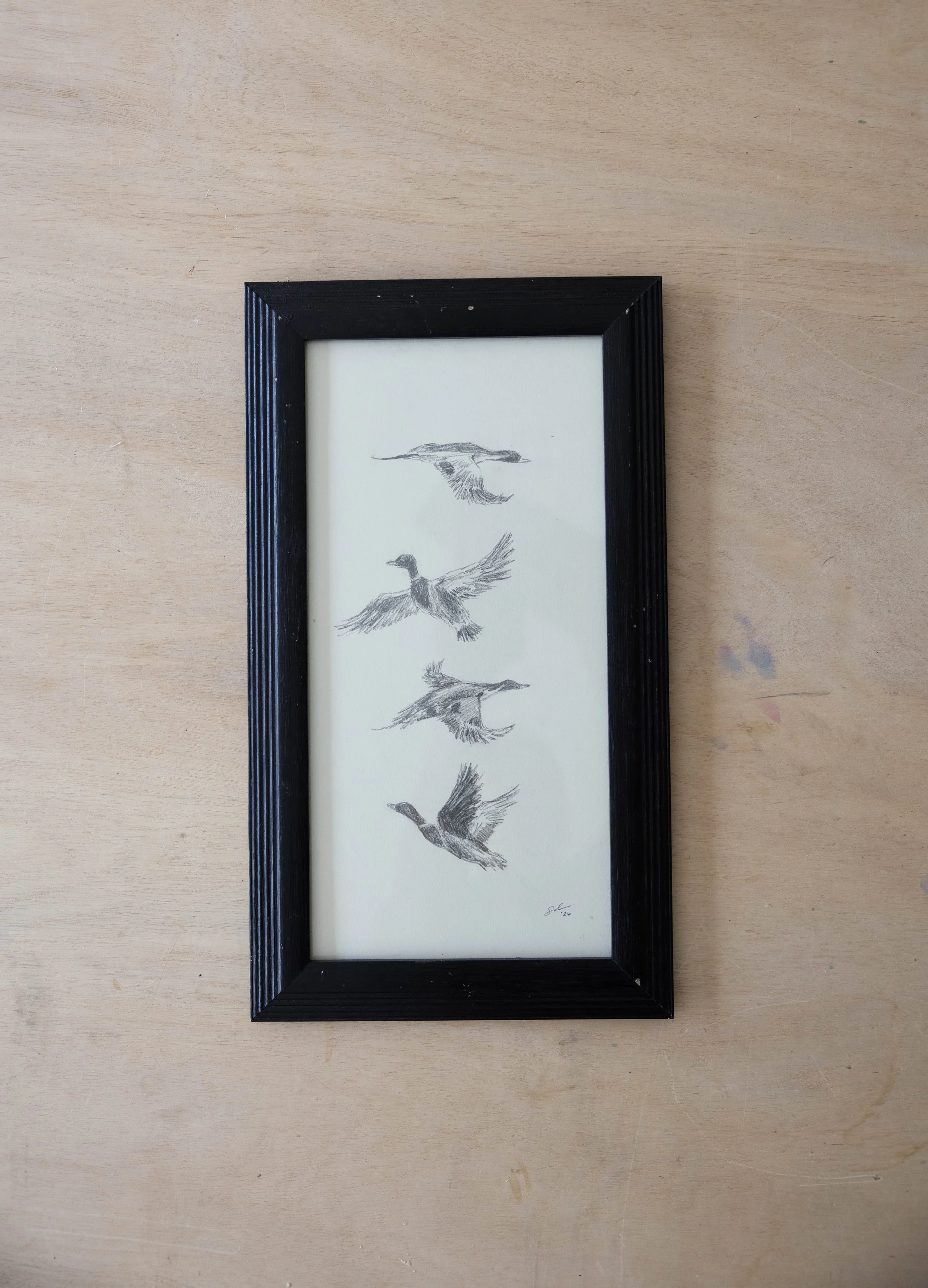 Vertical Ducks in Flight