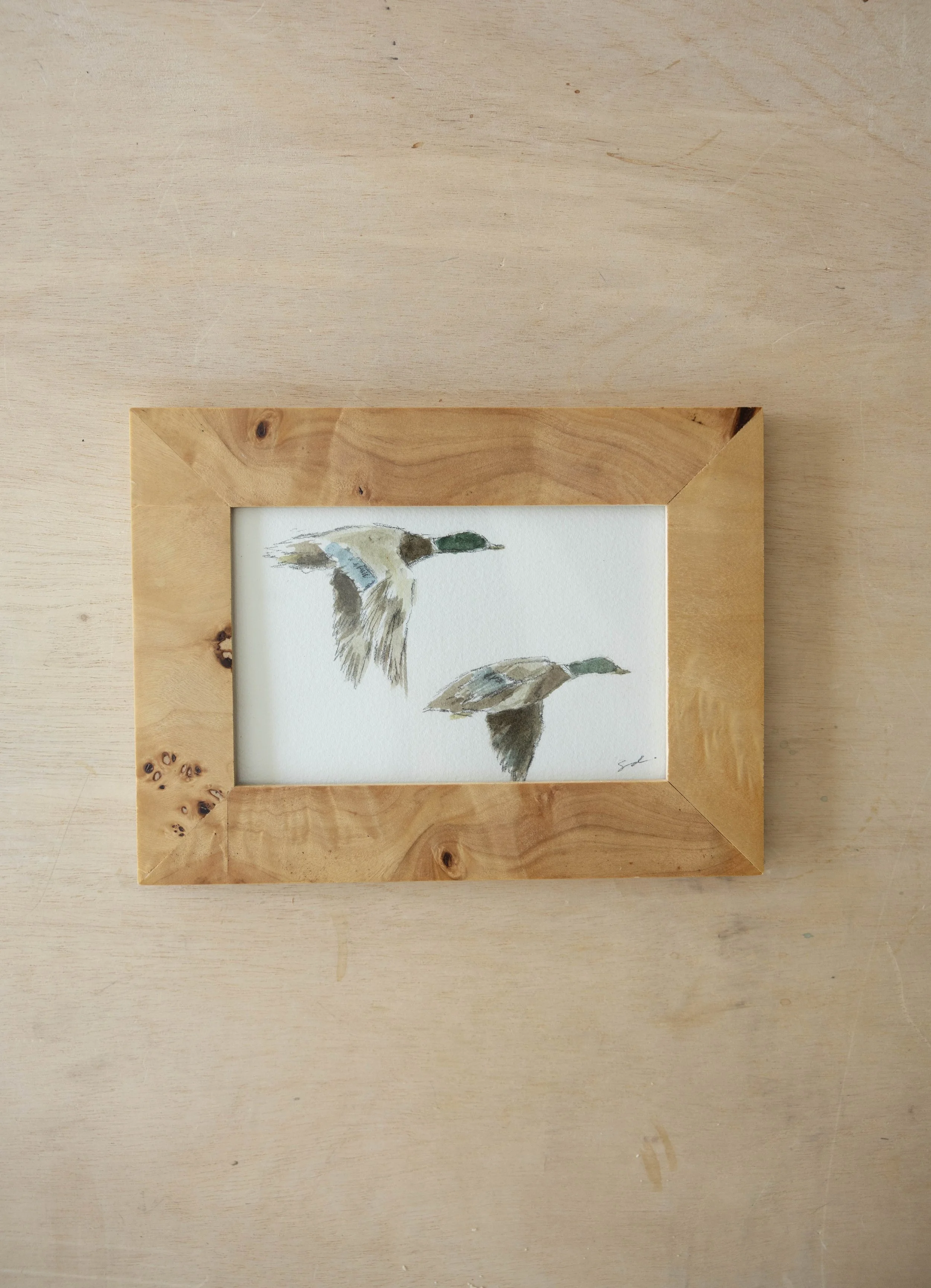 Ducks in Burl