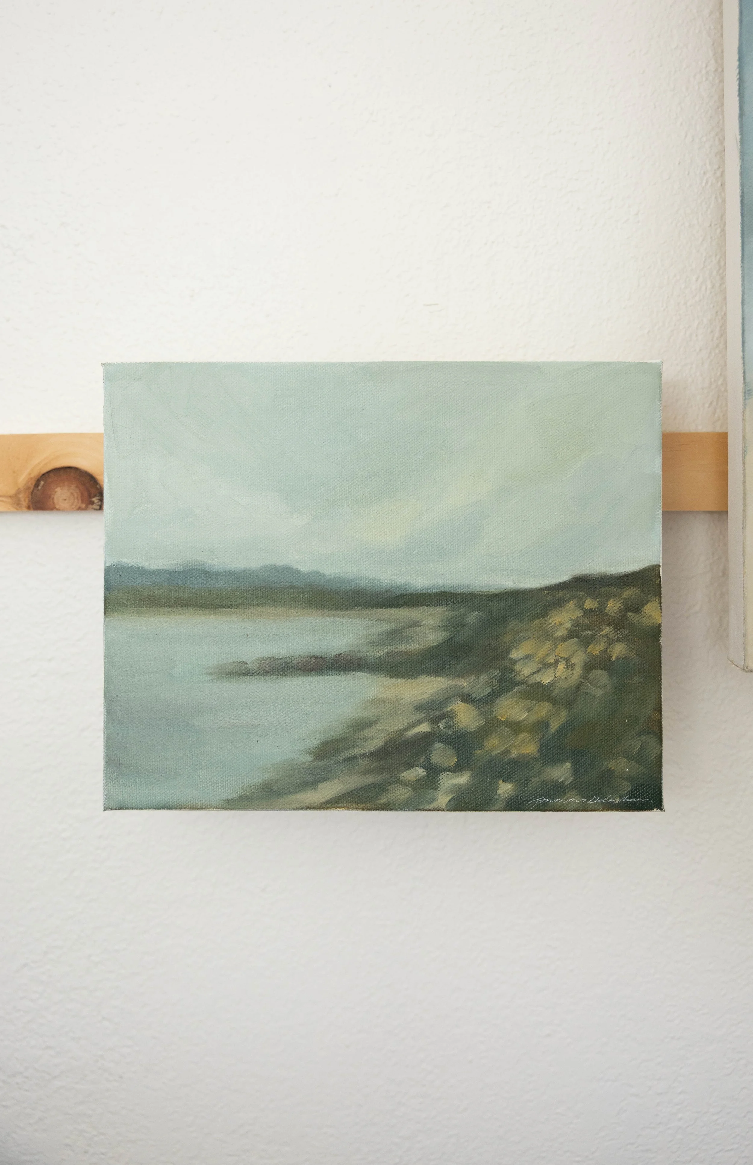 Shoreline Landscape