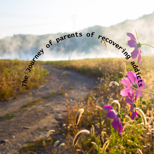 Staying Vigilant: The Journey of Parents with Recovering Addicts.