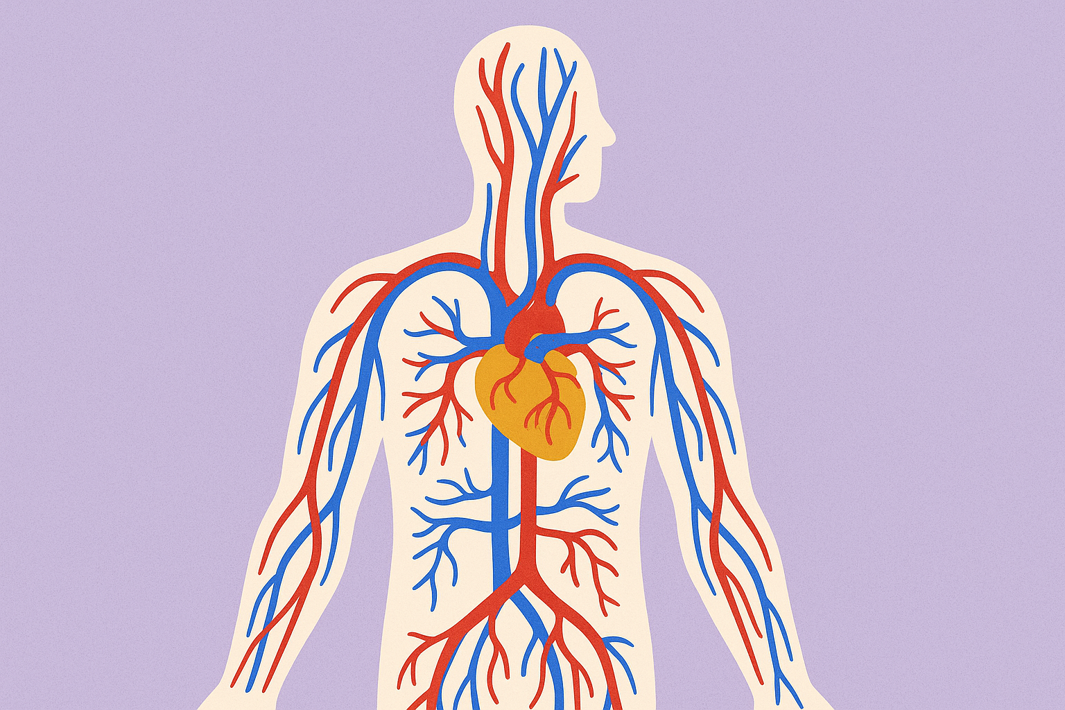 7 Common Myths About High Blood Pressure—And What the Evidence Actually Shows
