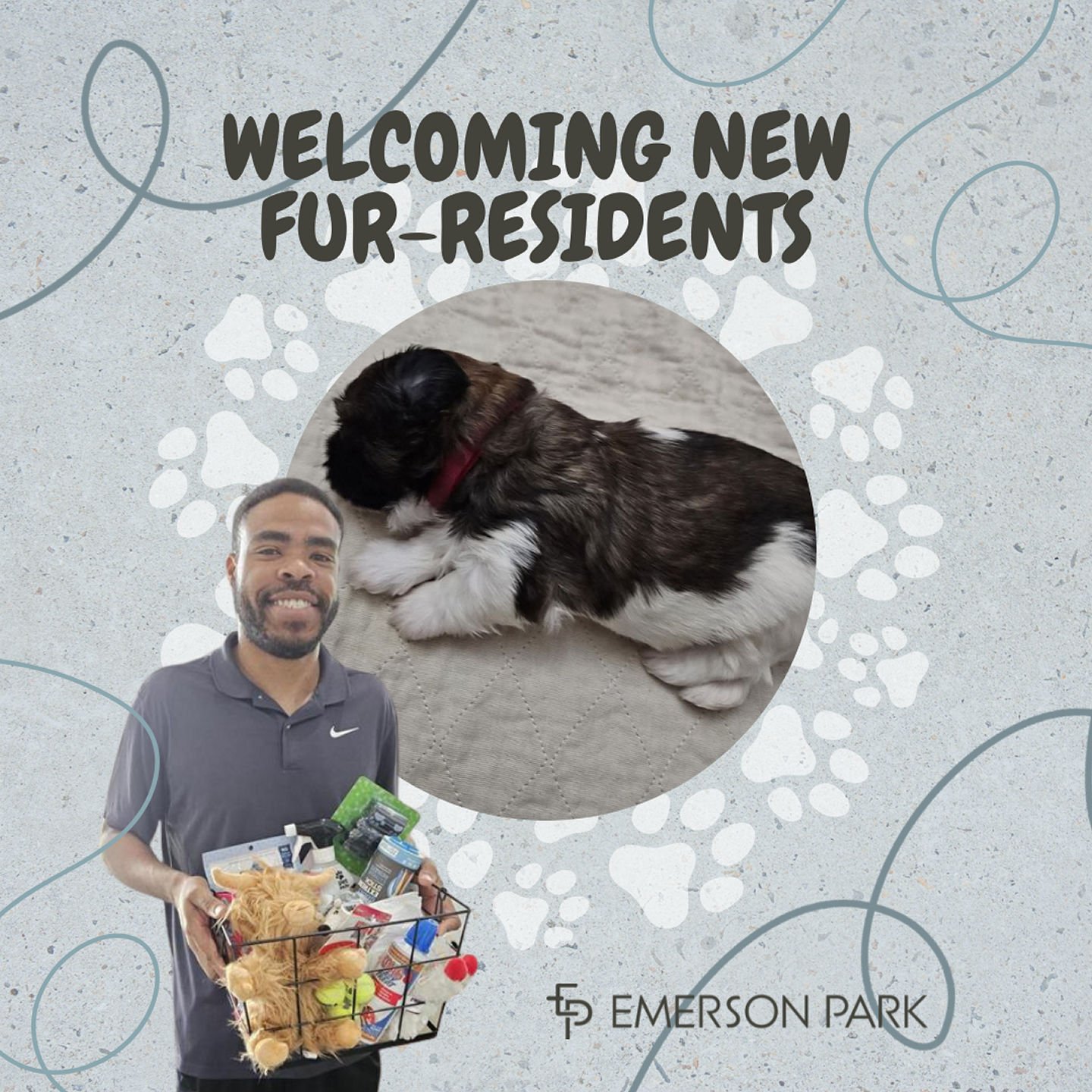 🐾 Woof-tastic news from Emerson Park! 🎉 We&rsquo;re excited to welcome Ryan's adorable baby Shih Tzu, Rowan, to our community! 💖 Our office couldn&rsquo;t resist spoiling this cute pup and his new fur-parent with all the puppy essentials! 

If you