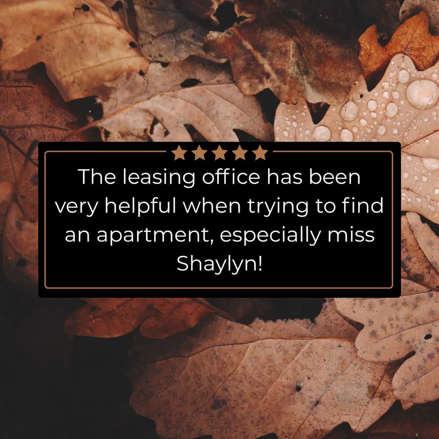 Check out one of our recent reviews that reflects our customer testimonials ⭐️⭐️⭐️⭐️⭐️ .  We strive to not only provide excellent care on the tour, but uphold that same standard once you become a resident of our wonderful community! We have one, two,
