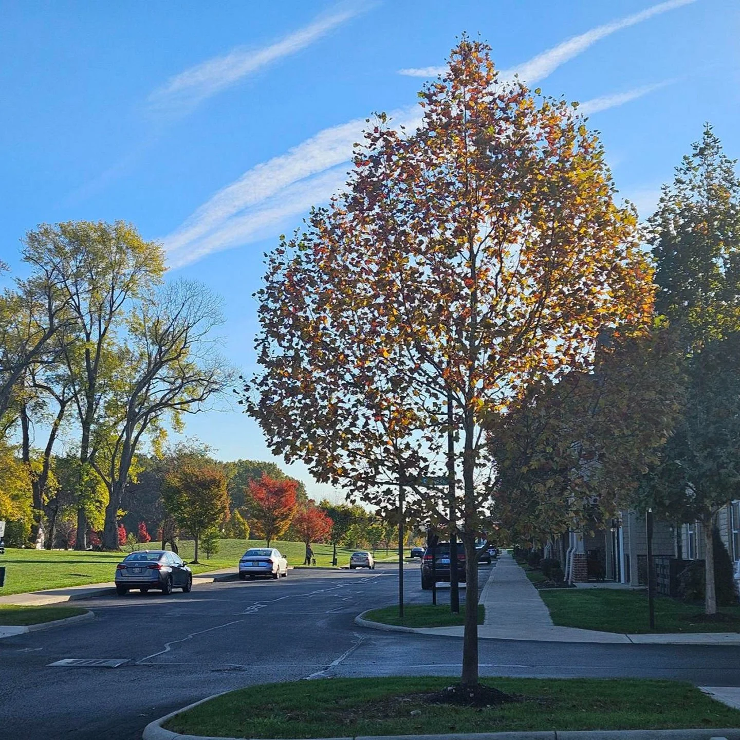 🍂 Fall is in the air at Emerson Park!🍂

#EmersonPark #WestervilleOhio #FallVibes #43081 #614Living