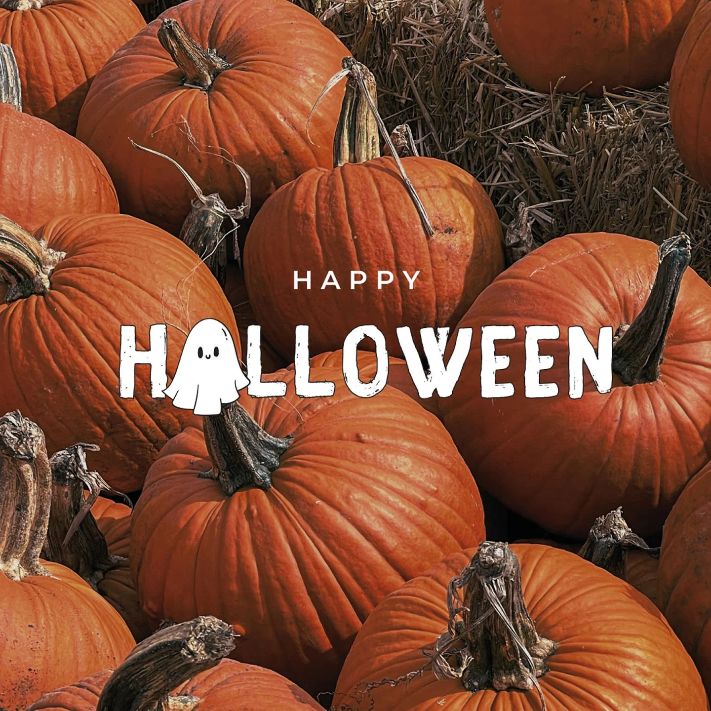 Wishing our residents a boo-tiful Halloween filled with treats and no tricks! 🎉👻