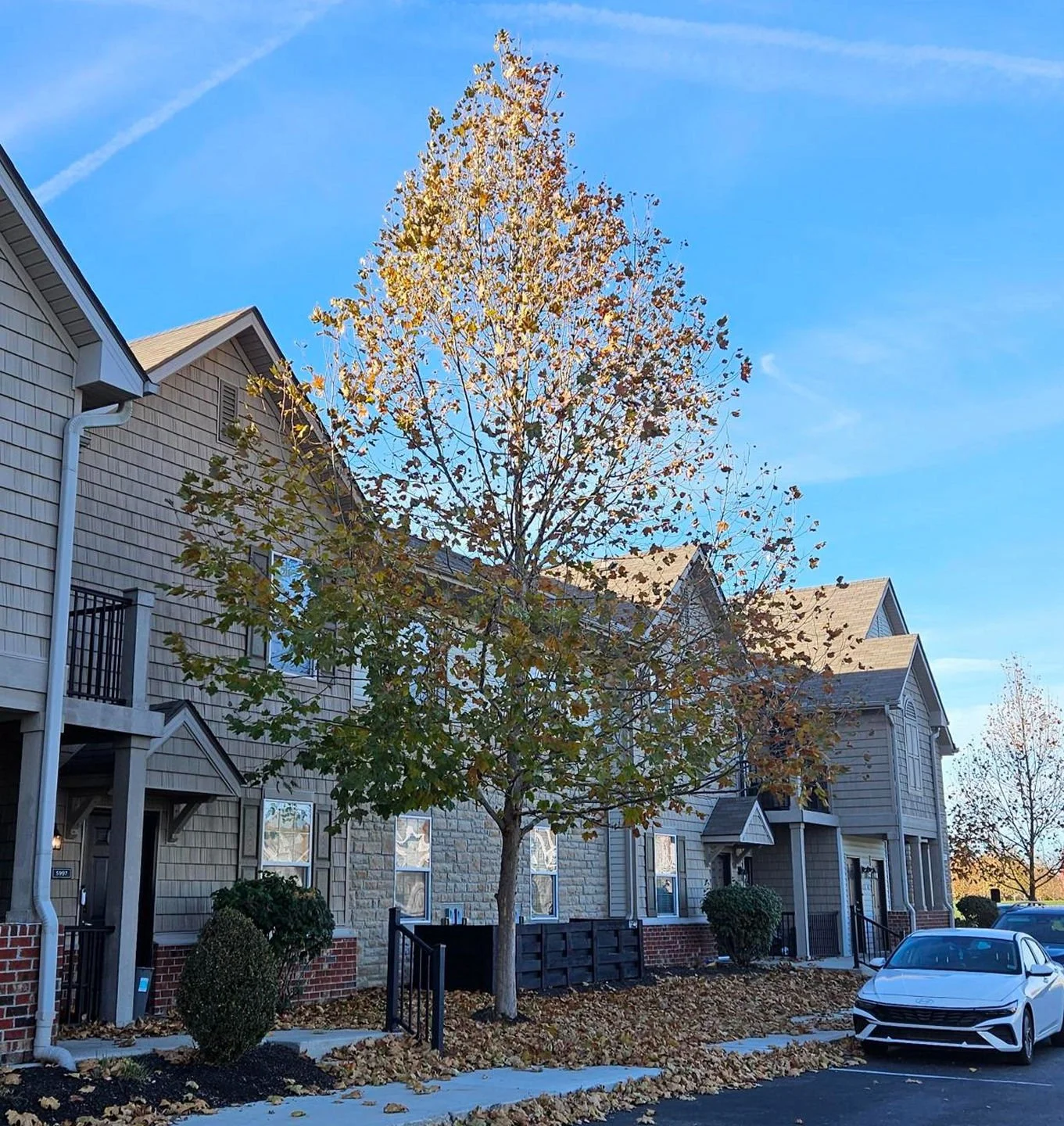 The leaves are falling for Emerson Park and you can too! Call us today to see how you can qualify for our November Move-in Limited Special and &quot;fall&quot; for Emerson Park too!

#EmersonPark #NowLeasing #AutumnVibes #NewHomeFeels #EmersonPark #W