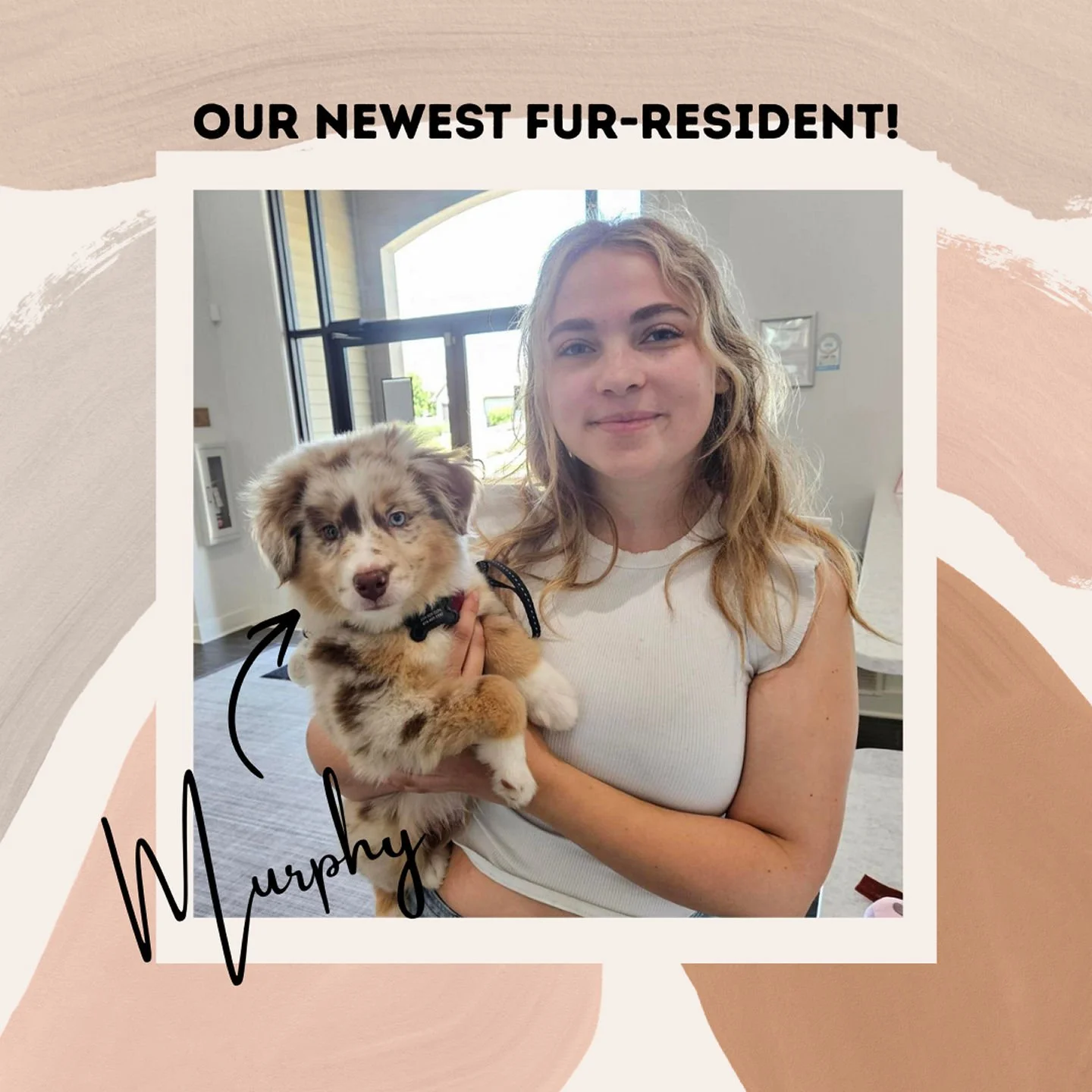 We&rsquo;re excited to welcome home Murphy, Adisynne's adorable red merle Australian Shepherd puppy, to our community! 💖Assistant Property Manager Shaylyn was thrilled to meet him&mdash; did you know she has two Australian Shepherds of her own?🐾
Ha