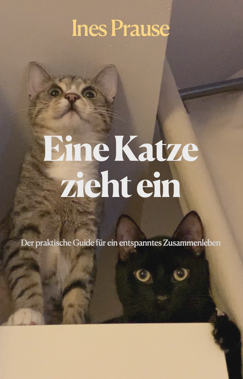 Cover of a book titled "Ines Prause Eine Katze zieht ein" featuring two cats, one gray tabby standing on a surface and one black sitting next to it, with a beige wall and part of a staircase in the background.