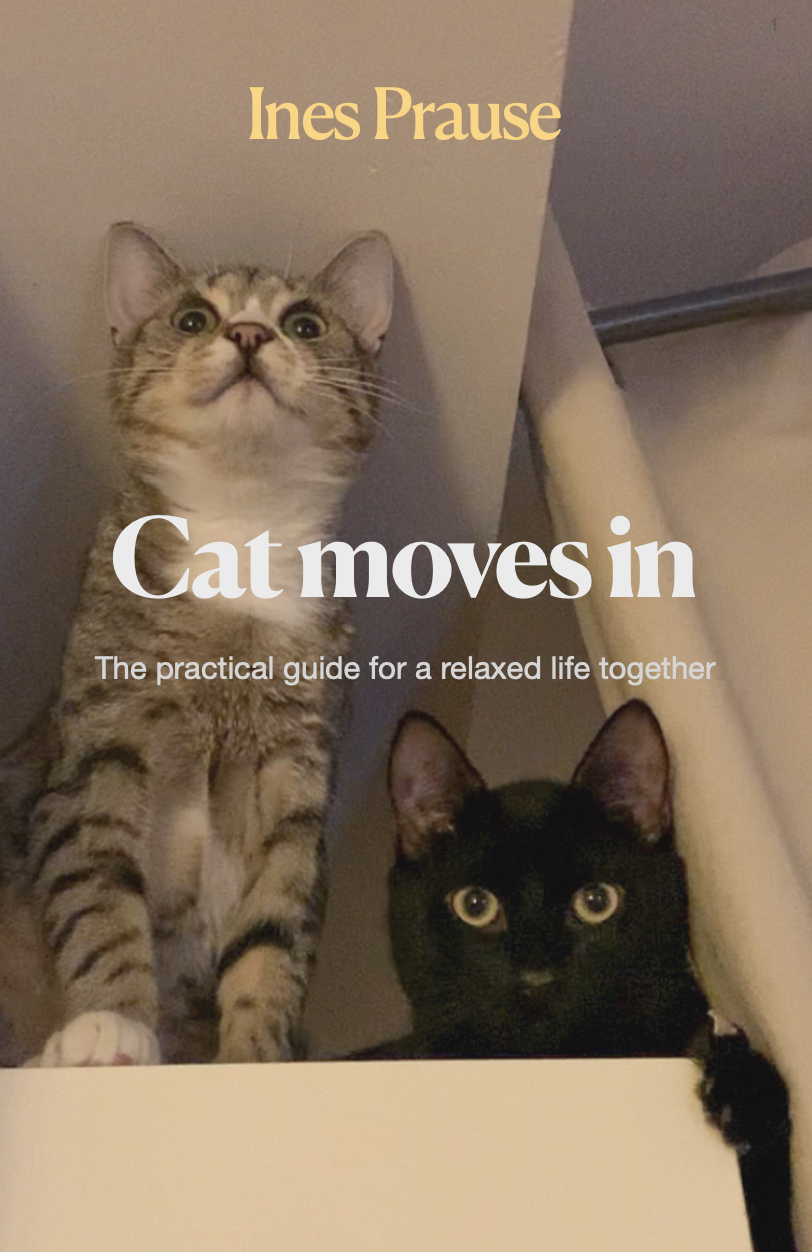 Cover of a book titled 'Cats Praise.' The cover features a photo of two cats, one standing and the other sitting, behind a white surface. The standing cat is a tabby with a surprised expression, and the sitting cat is black with wide eyes. The subtitle reads 'The practical guide for a relaxed life together.'