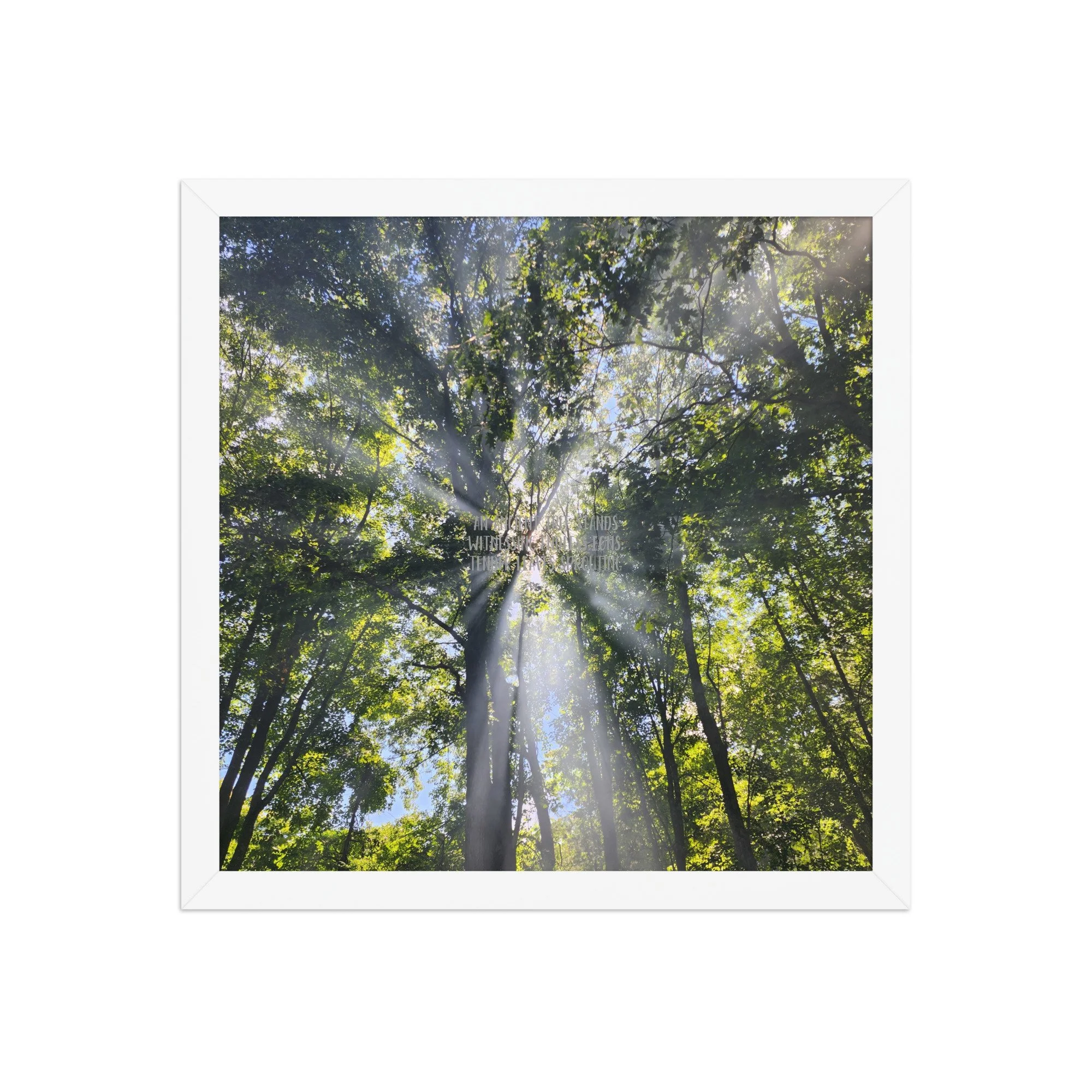 Poster - Smoke In the Trees
